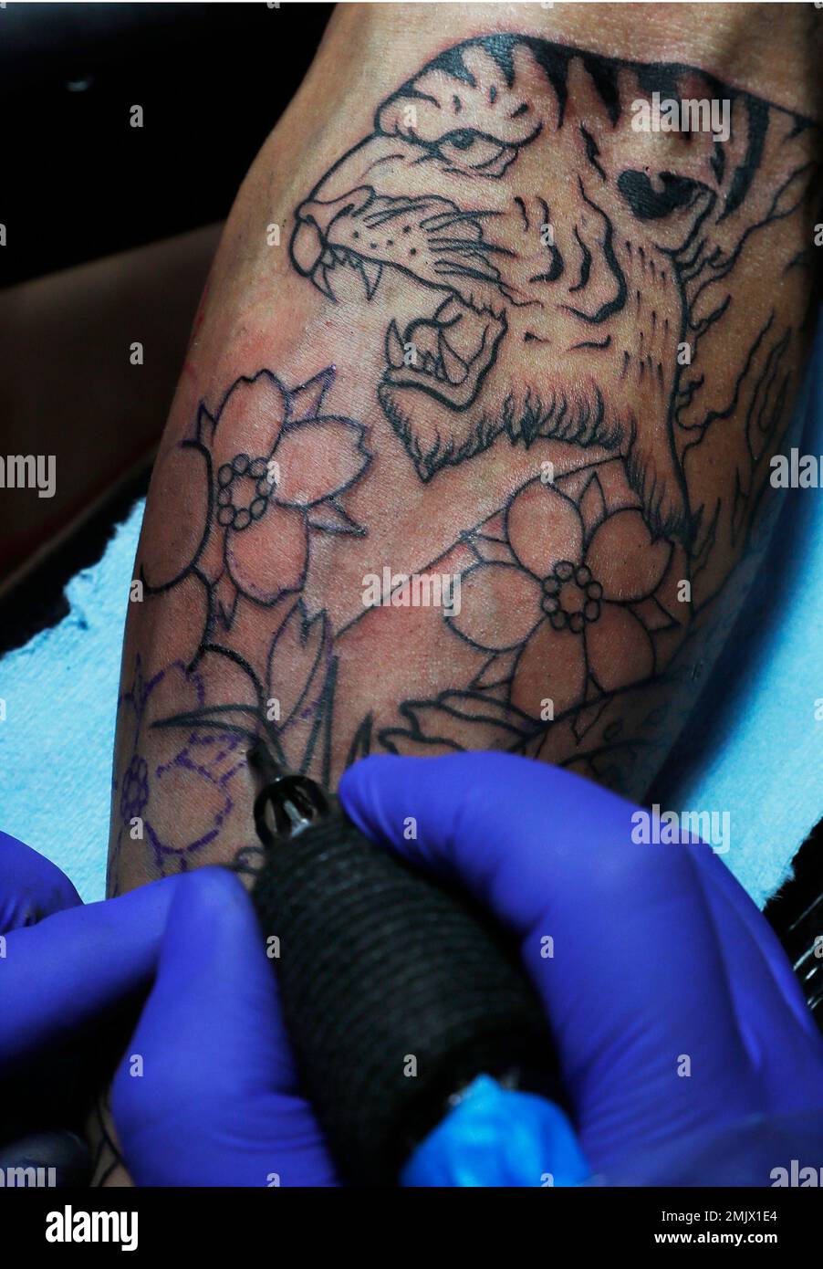 In this April 15, 2019 photo, Liz Ruiz has the tattoo of a tiger inked on  her arm at the Corona Tattoo parlor in Mexico City. \, image size:902x1390
