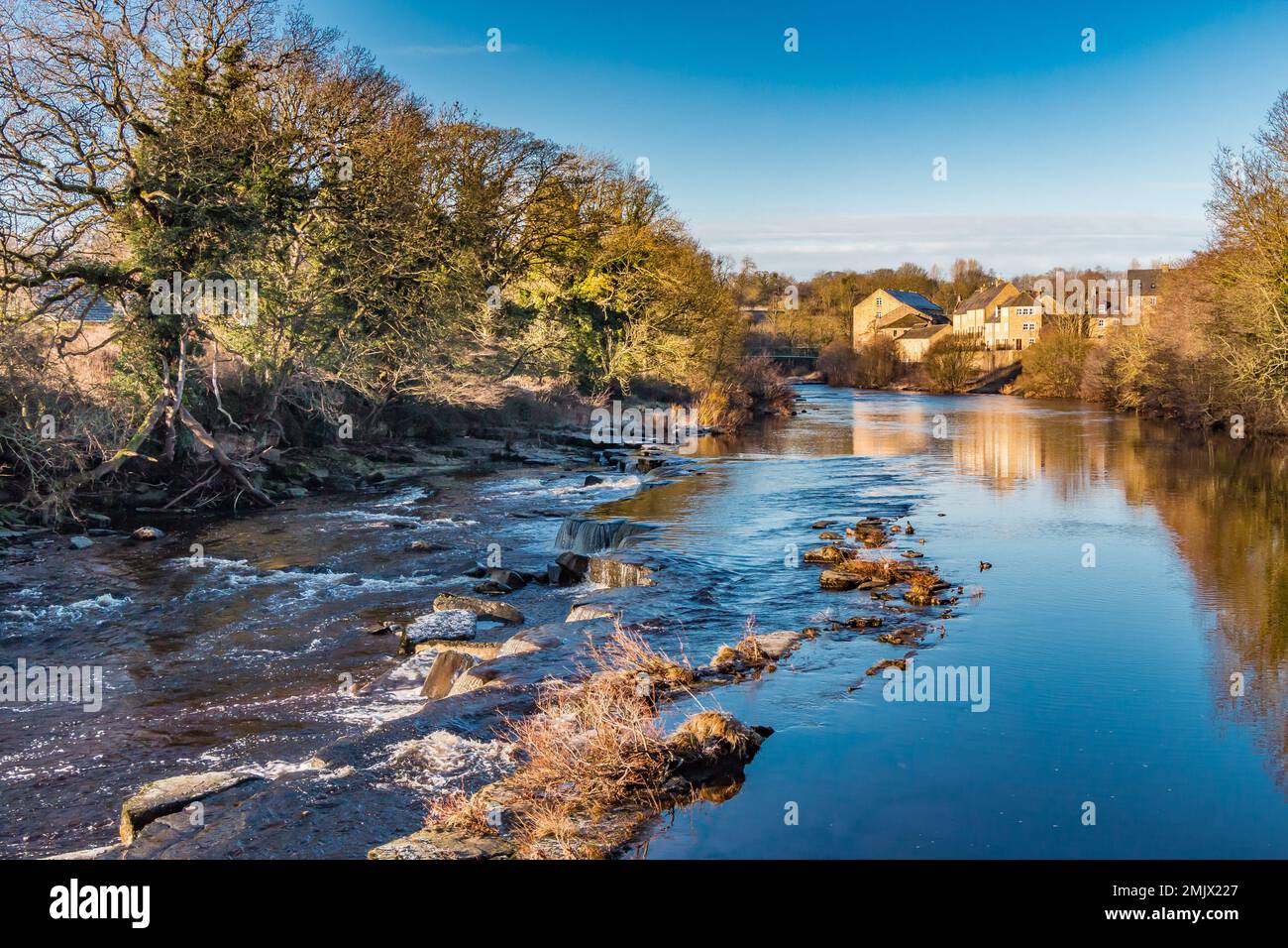 Very strong low winter sunshine on the river Tees looking upstream from Demesnes Mill. Barnard Castle, on a cold and crisp January morning. Stock Photo
