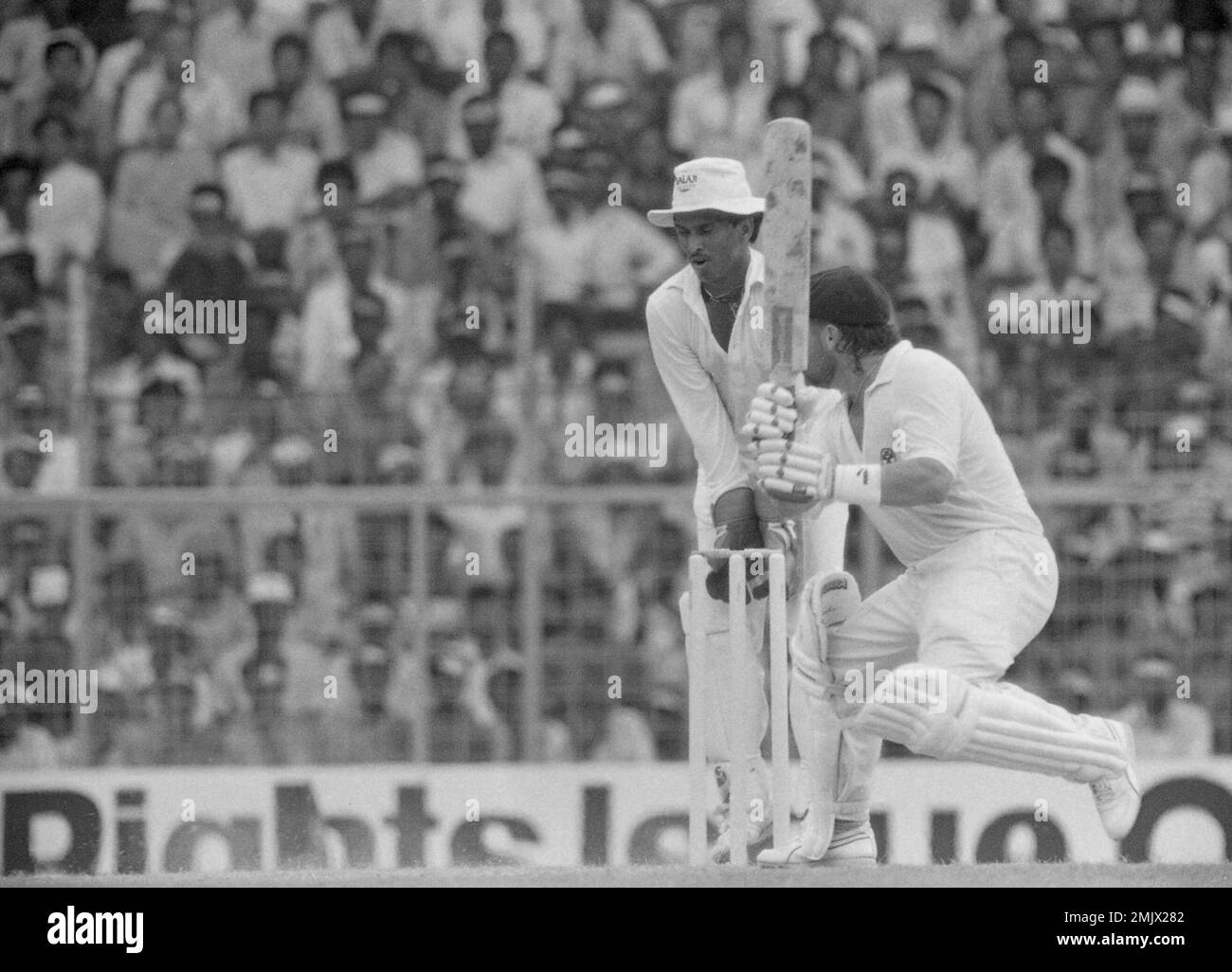 Indian Wicket Keeper Kiran More And Australian David Boon In Action During The Cricket World Cup 0837