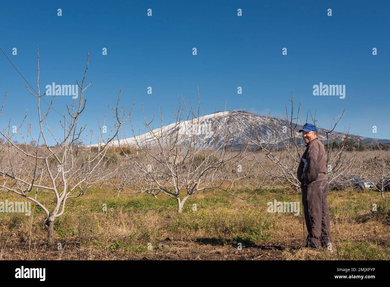 A Sicilian farmer in his pistachio orchard near Bronte on the slopes of Mount Etna, Sicily, Italy Stock Photo