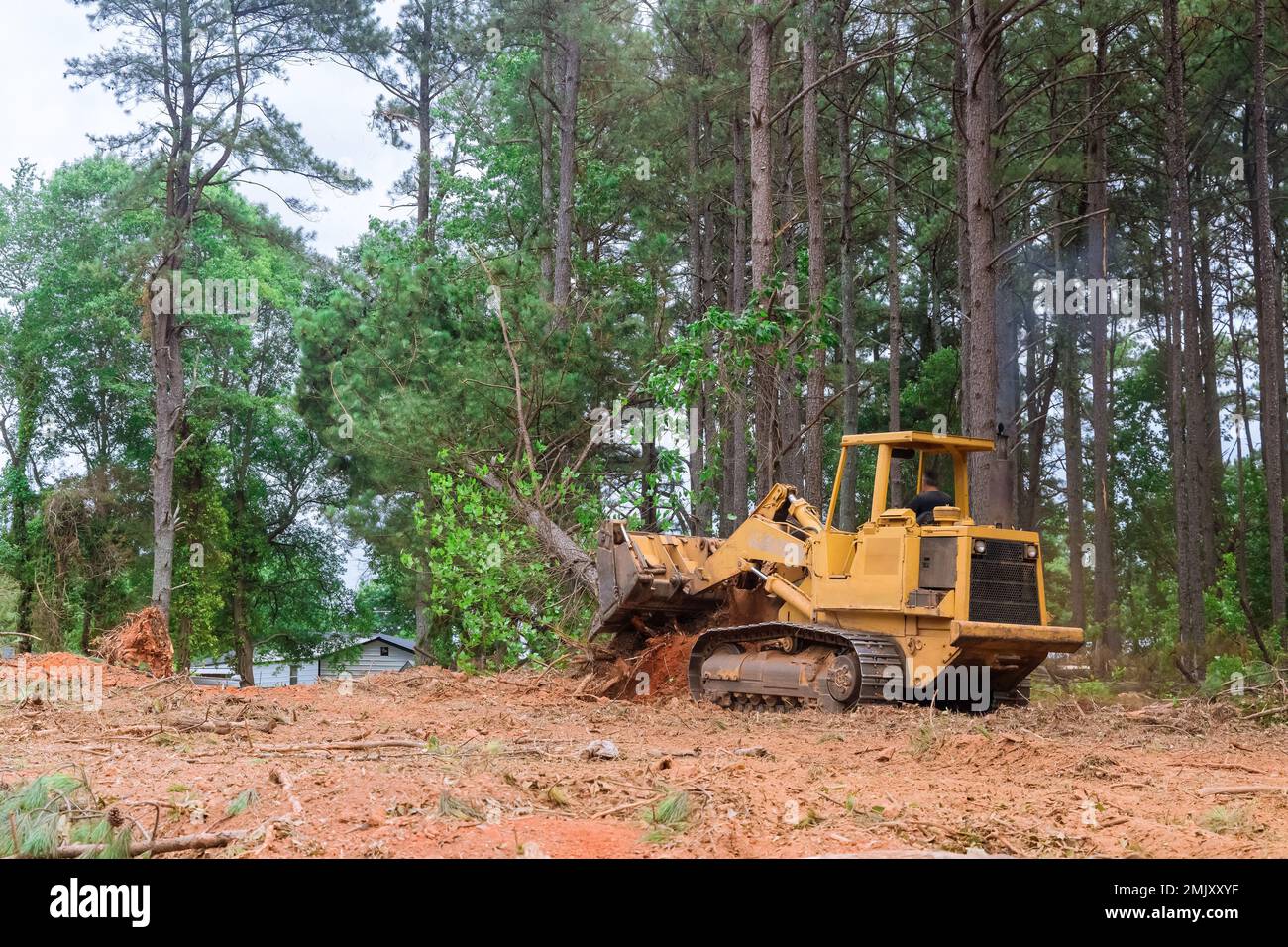 Contractor used tractor skid steers to remove trees from property during construction process in order prepare land for subdivision development. Stock Photo