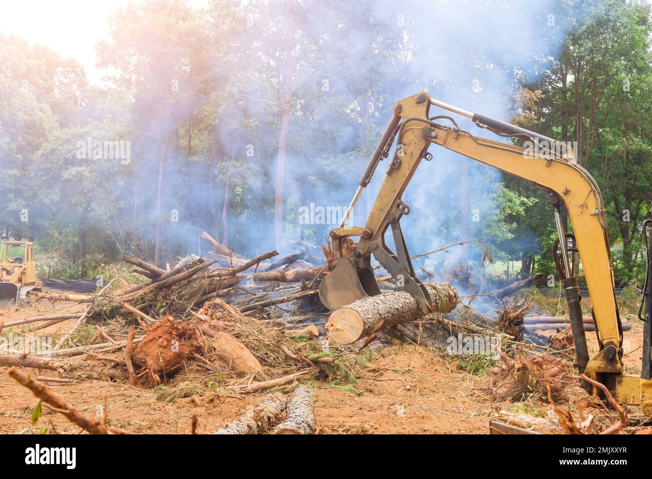 Deforestation work on tractor manipulator uproot trees which lifts logs to prepare land for housing construction. Stock Photo