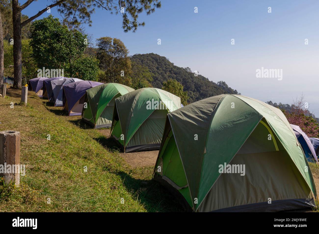 Tents Camping area, On the mountain, Panoramic landscape. Natural area with big trees Stock Photo
