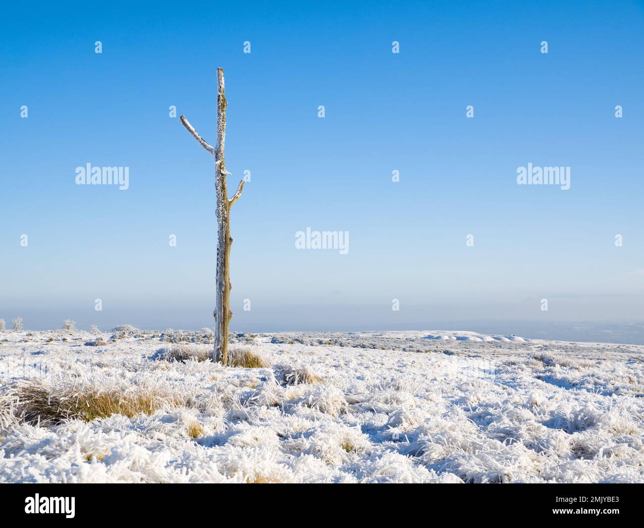 Hoar frost at the Three-forked Pole, Hoar Edge, Clee Hill Common, Shropshire. A historic waymark & meeting point of three local parishes. Stock Photo
