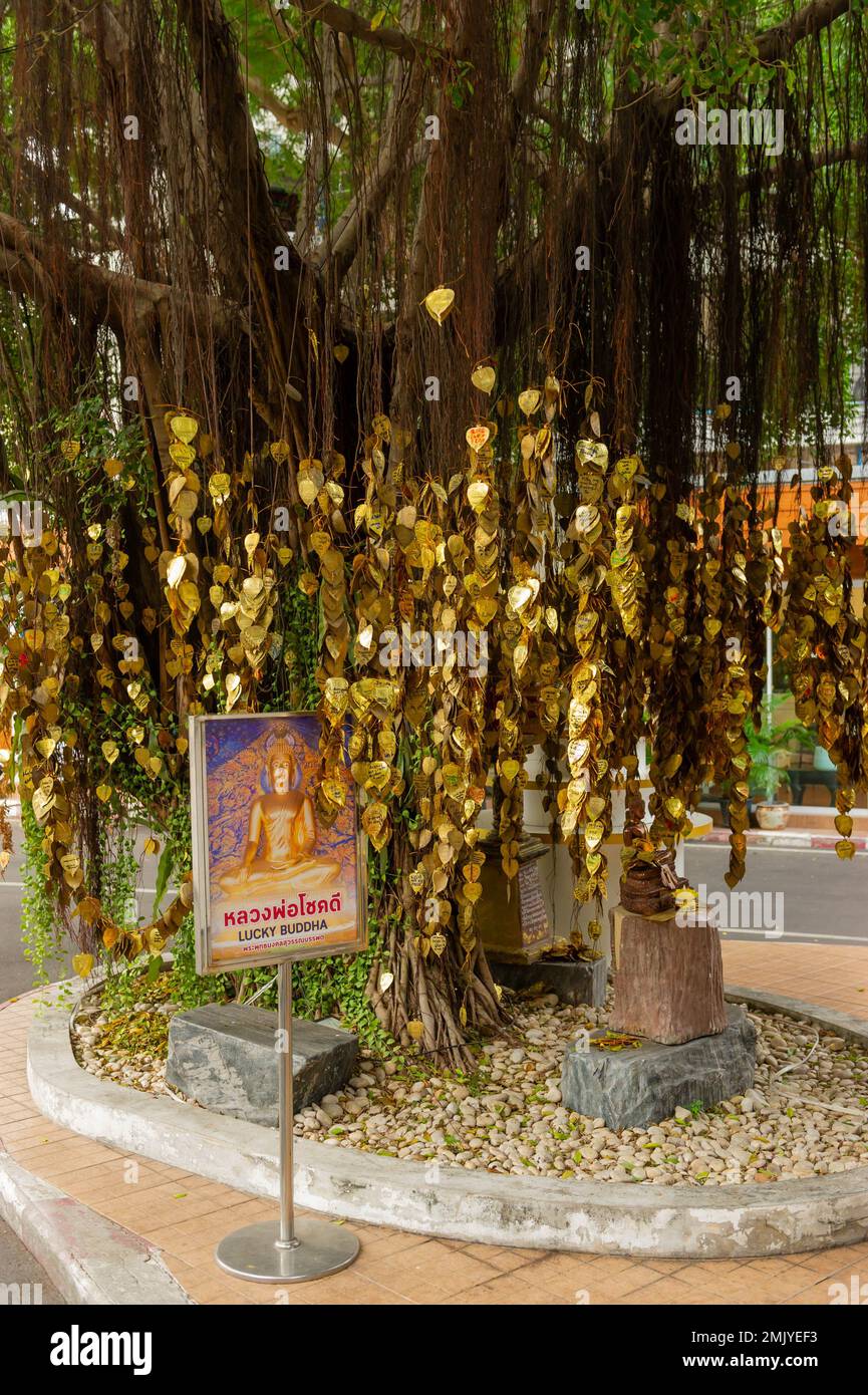 The Golden Mount Bangkok Thailand Stock Photo Alamy the-golden-mount-bangkok-thailand-stock-photo-alamy