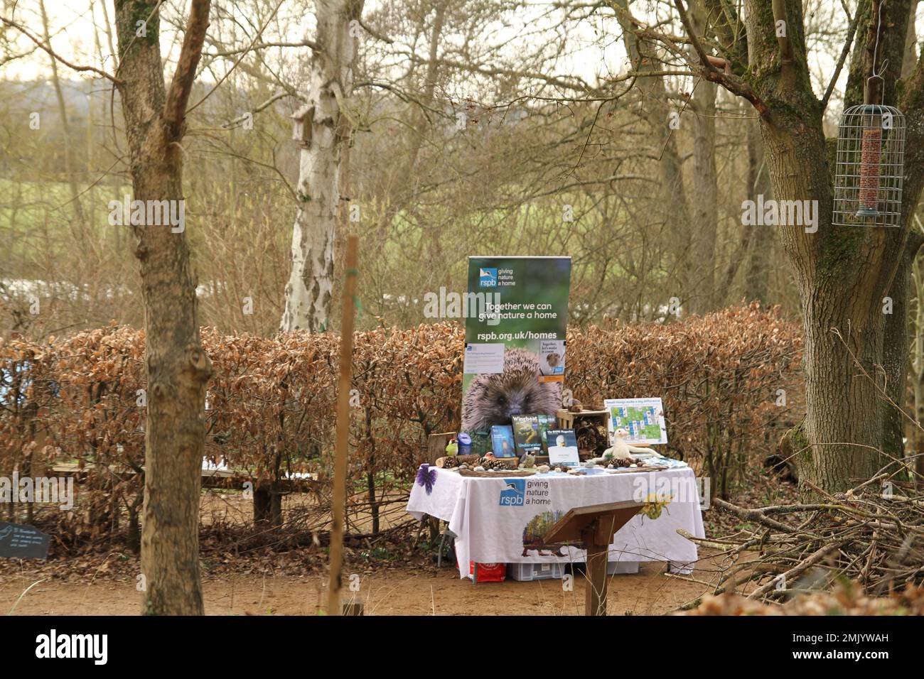 Flatford, UK. 28th Jan 2023. The RSPB Big Garden Birdwatch Weekend continues today. People across the UK are being encouraged to count and record the birds they spot in one hour to help monitor the birdlife. Credit: Eastern Views/Alamy Live News Stock Photo