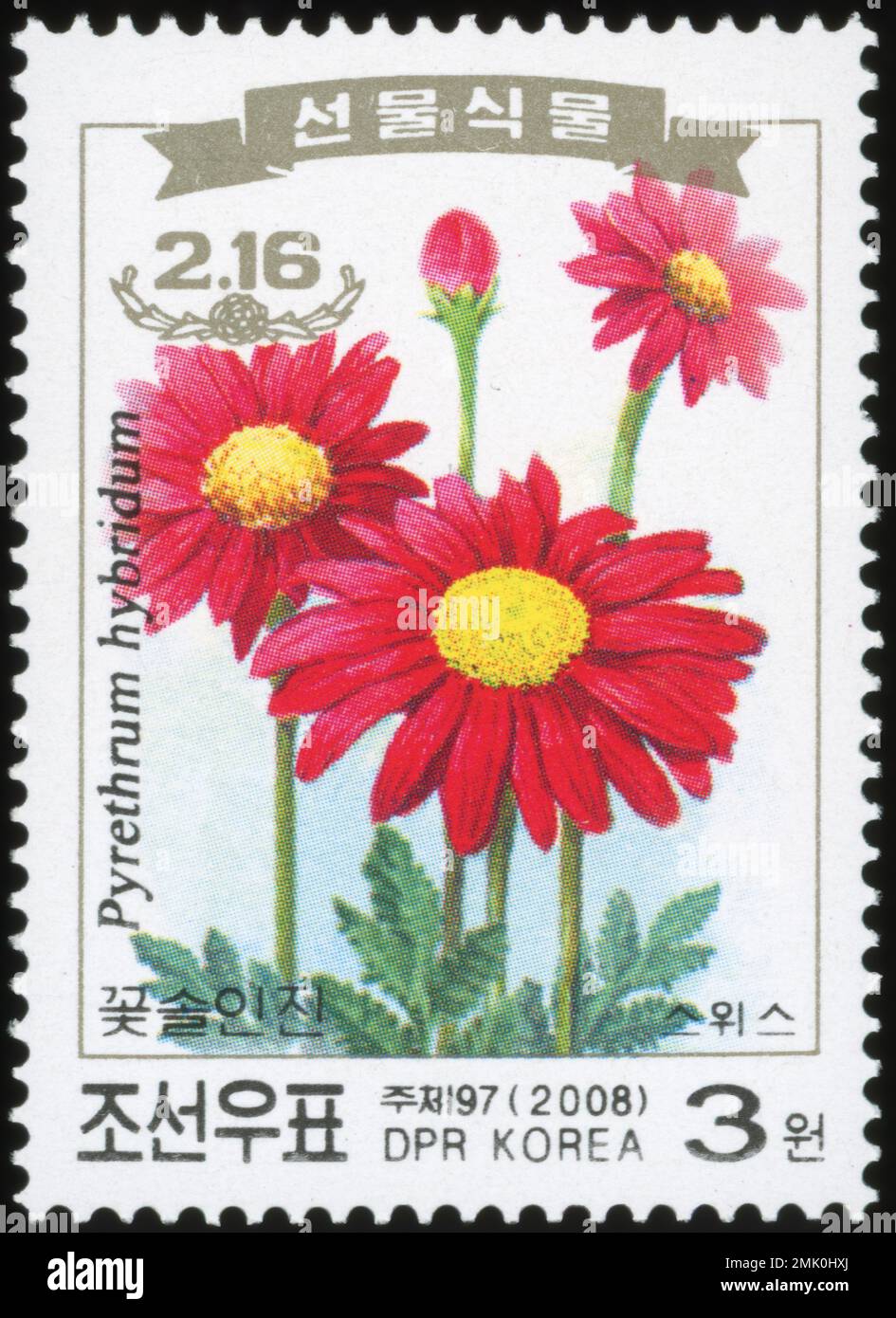 2008 North Korea stamp set. 66th birthday of Kim Jong Il. Red yellow flowers. Pyrethrum hybridum, Tanacetum sp. Stock Photo