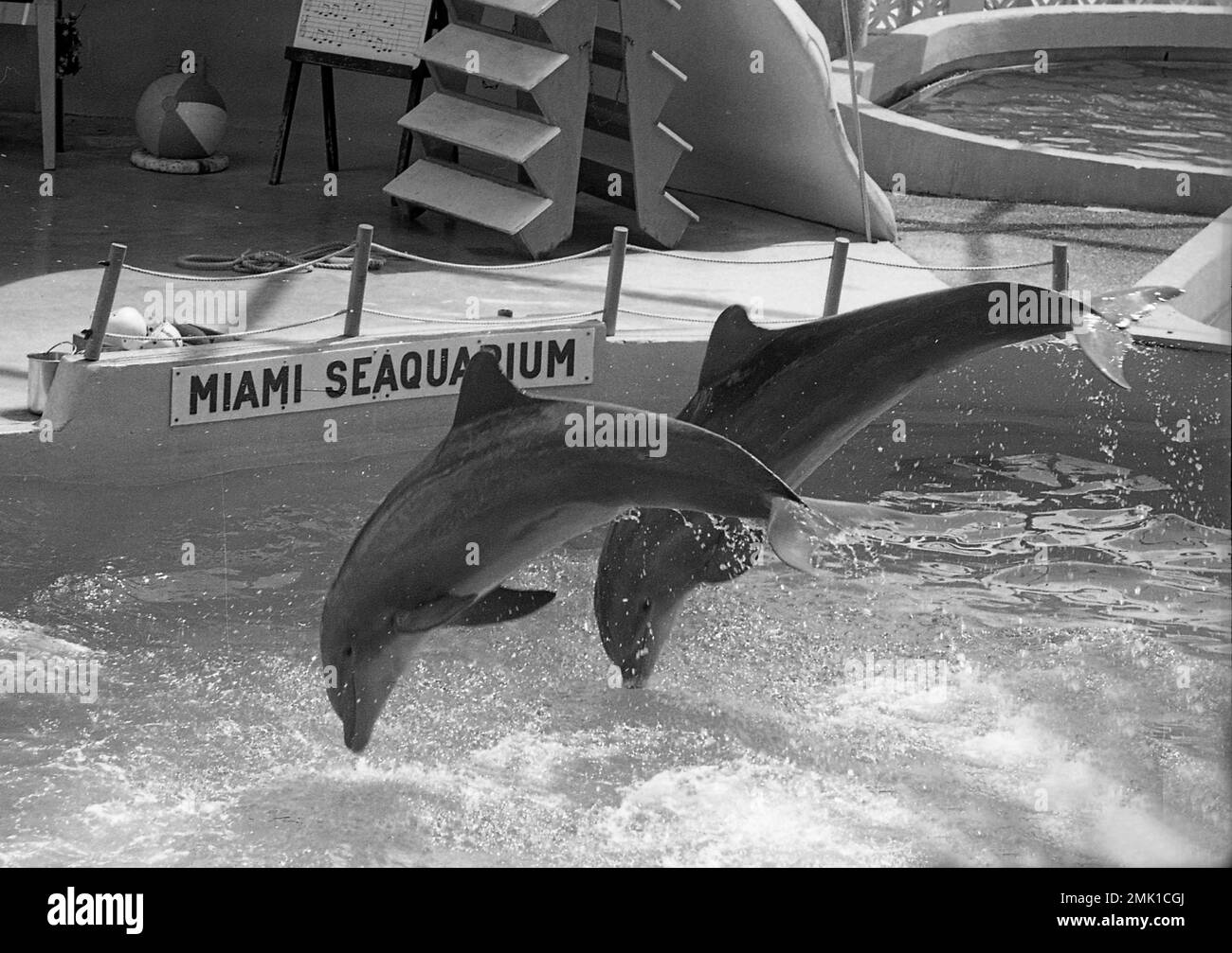 Miami Seaquarium, Virginia Key, Biscayne Bay, South Florida, USA, 1972