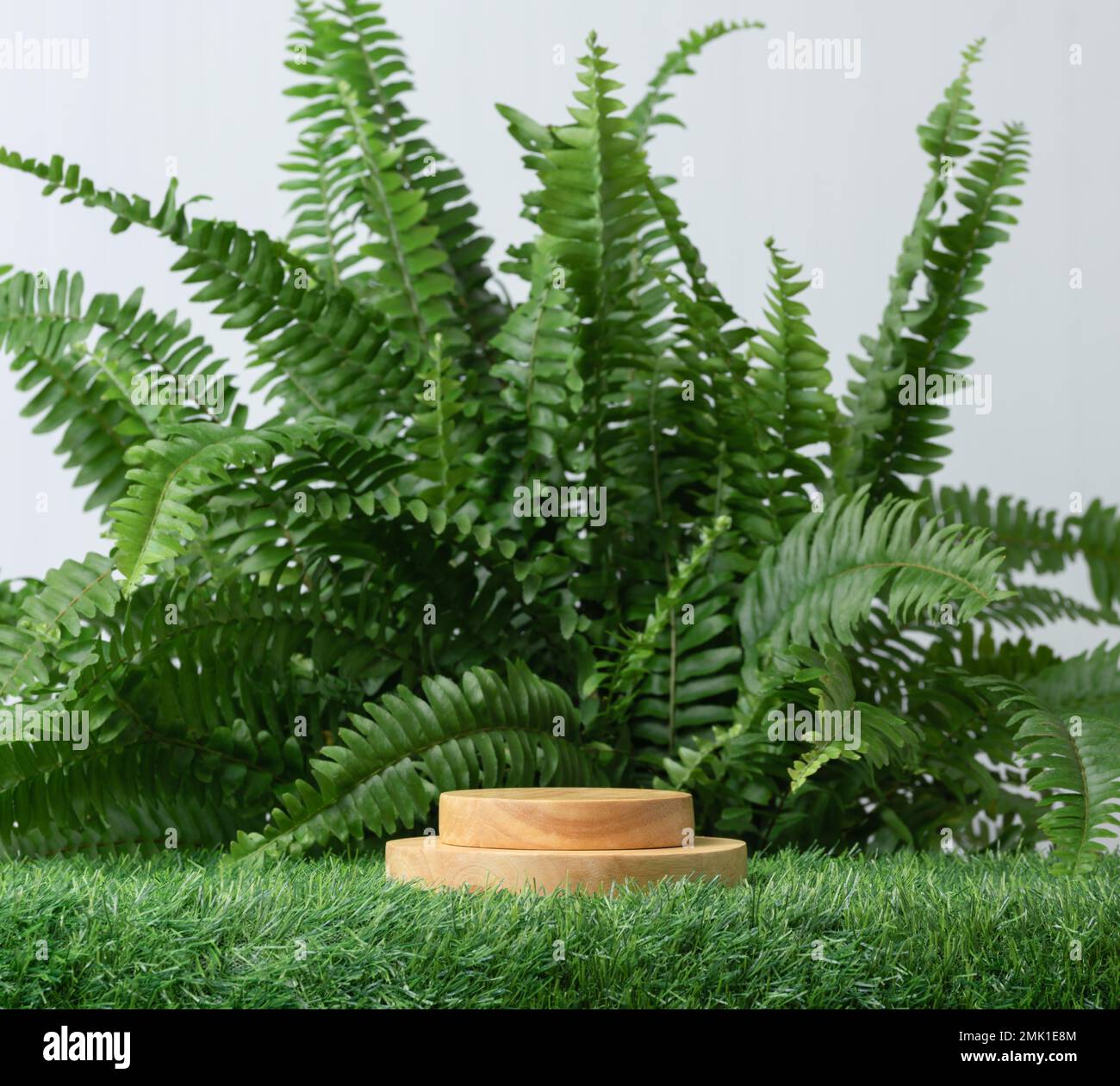 empty wood podium on green grass fern tropical forest plant on white background.cosmetics and moisture beauty natural product present placement pedest Stock Photo