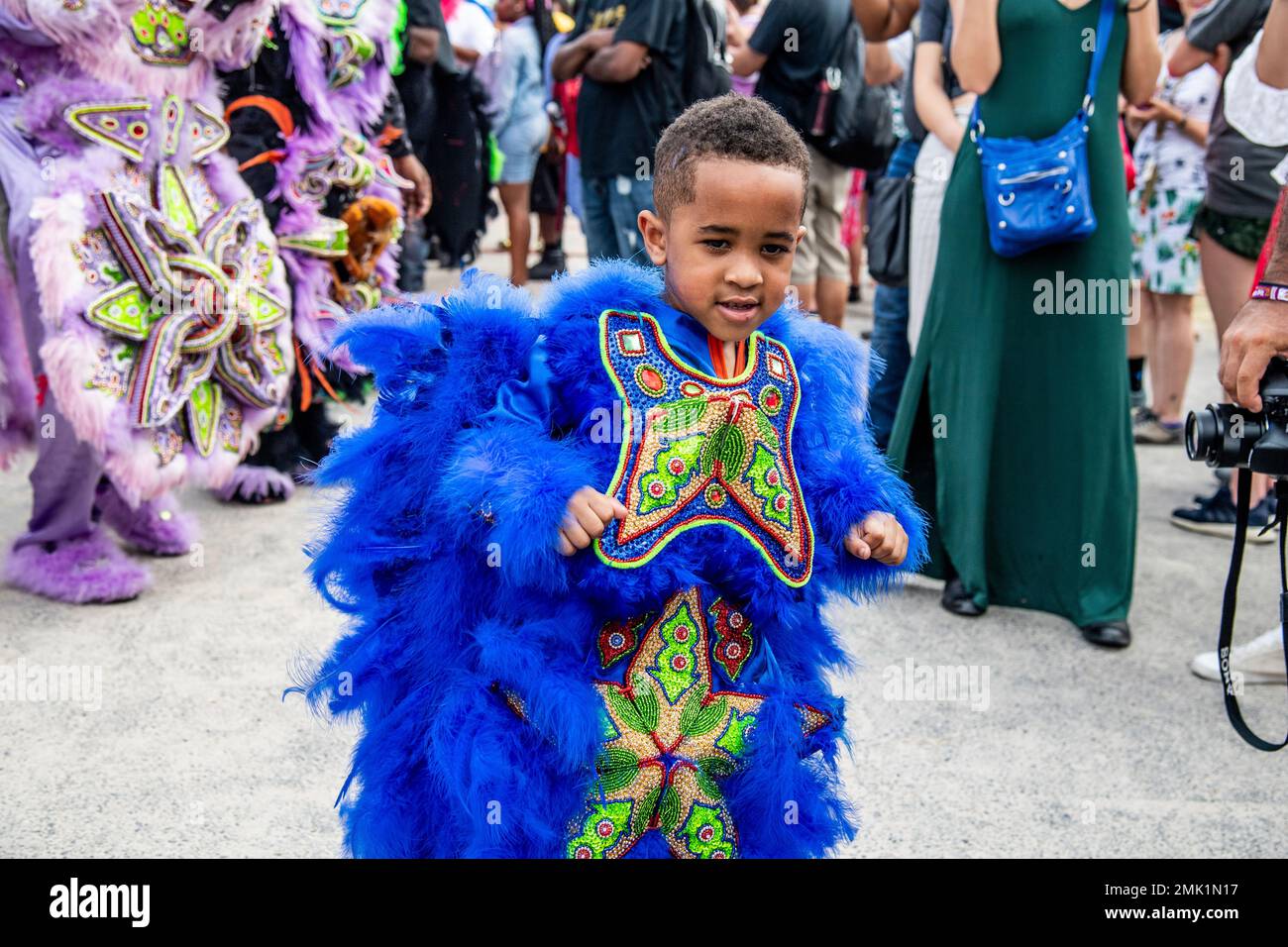 wild tchoupitoulas mardi gras indians