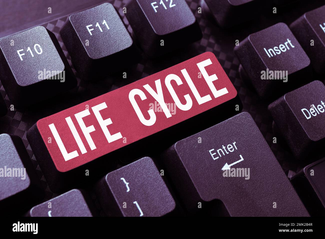 Text caption presenting Life Cycle. Concept meaning the series of changes in the life of an