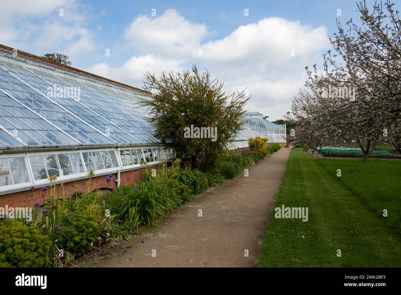 Victorian greenhouse wall hi-res stock photography and images - Alamy