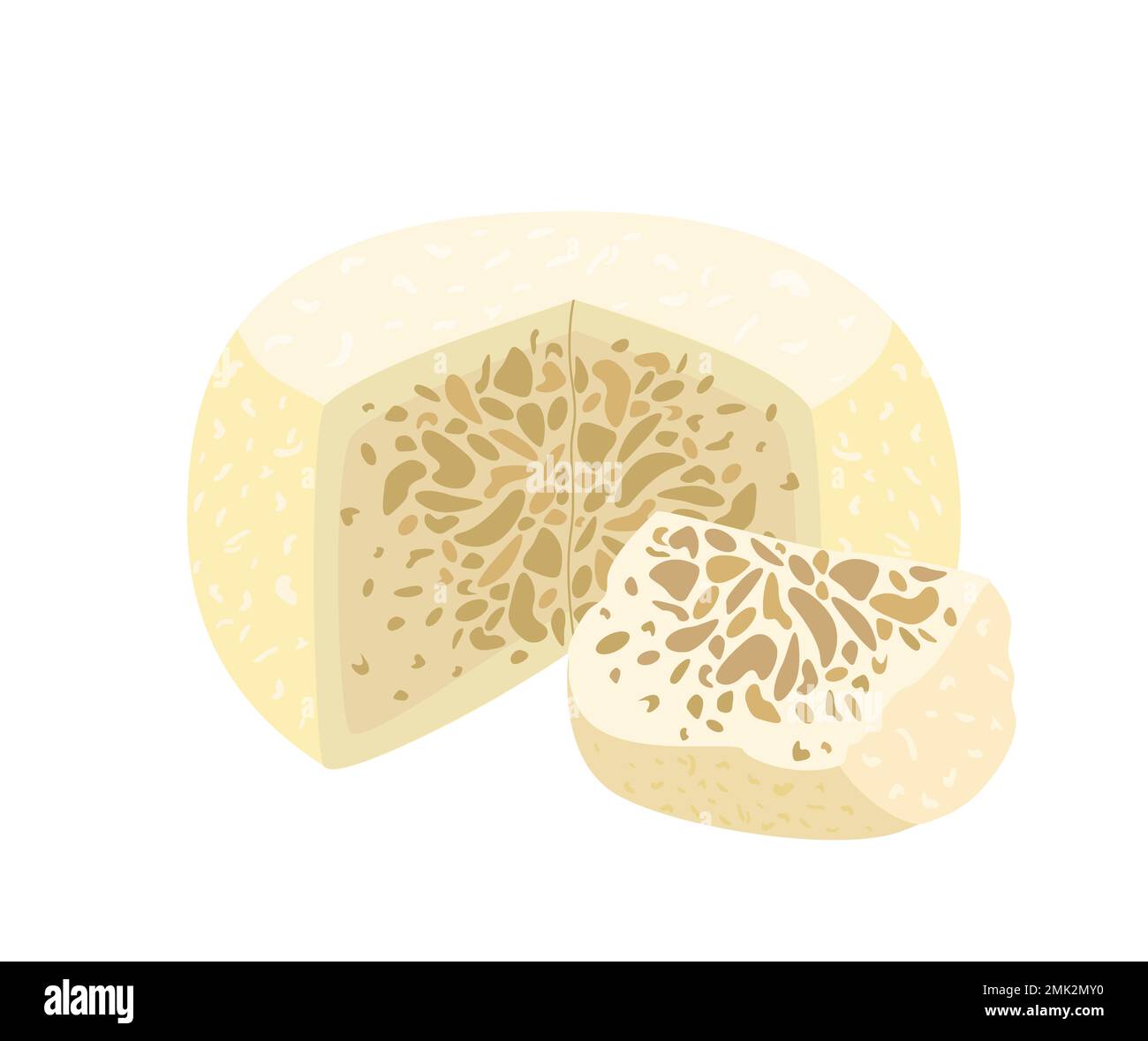 Exotic Sakartvelo Sheep cheese Guda with specific smell.Gourmet cheese with holes and bubbles.Cut piece of delicious soft chees.Flat vector illustrati Stock Photo