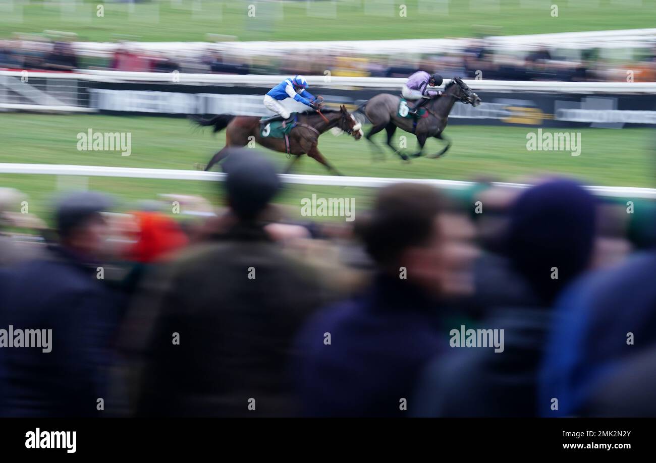 Hacker Des Places ridden by Angus Cheleda (right) wins the SSS Super Alloys Handicap Hurdle during Festival Trials Day at Cheltenham Racecourse. Picture date: Saturday January 28, 2023. Stock Photo