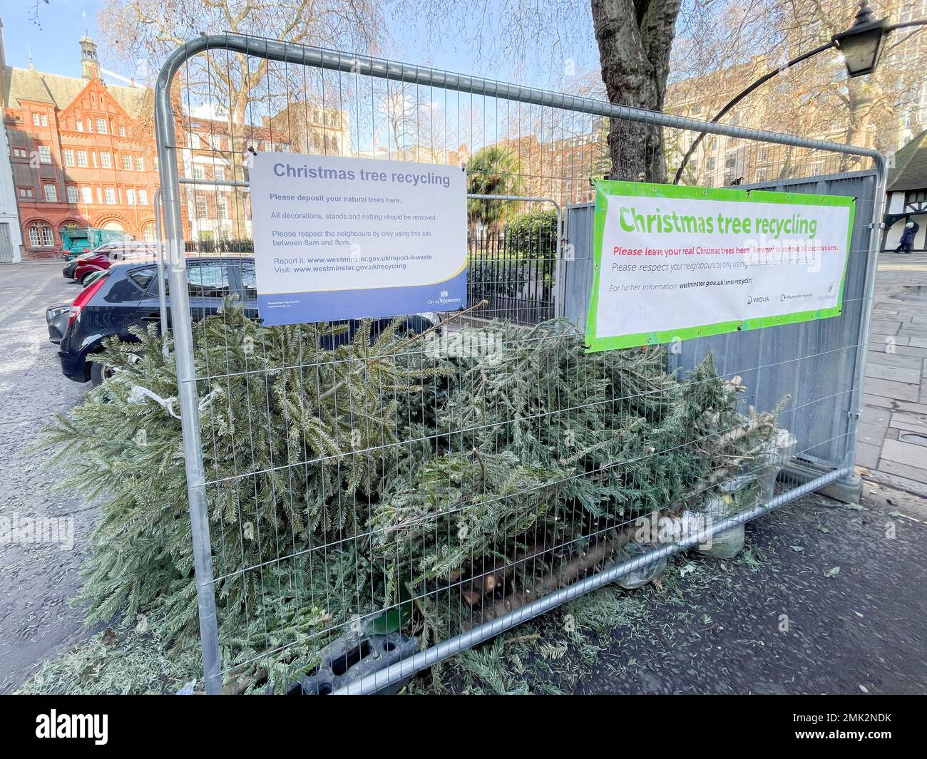 Used Christmas trees around central London is discarded on roads and at