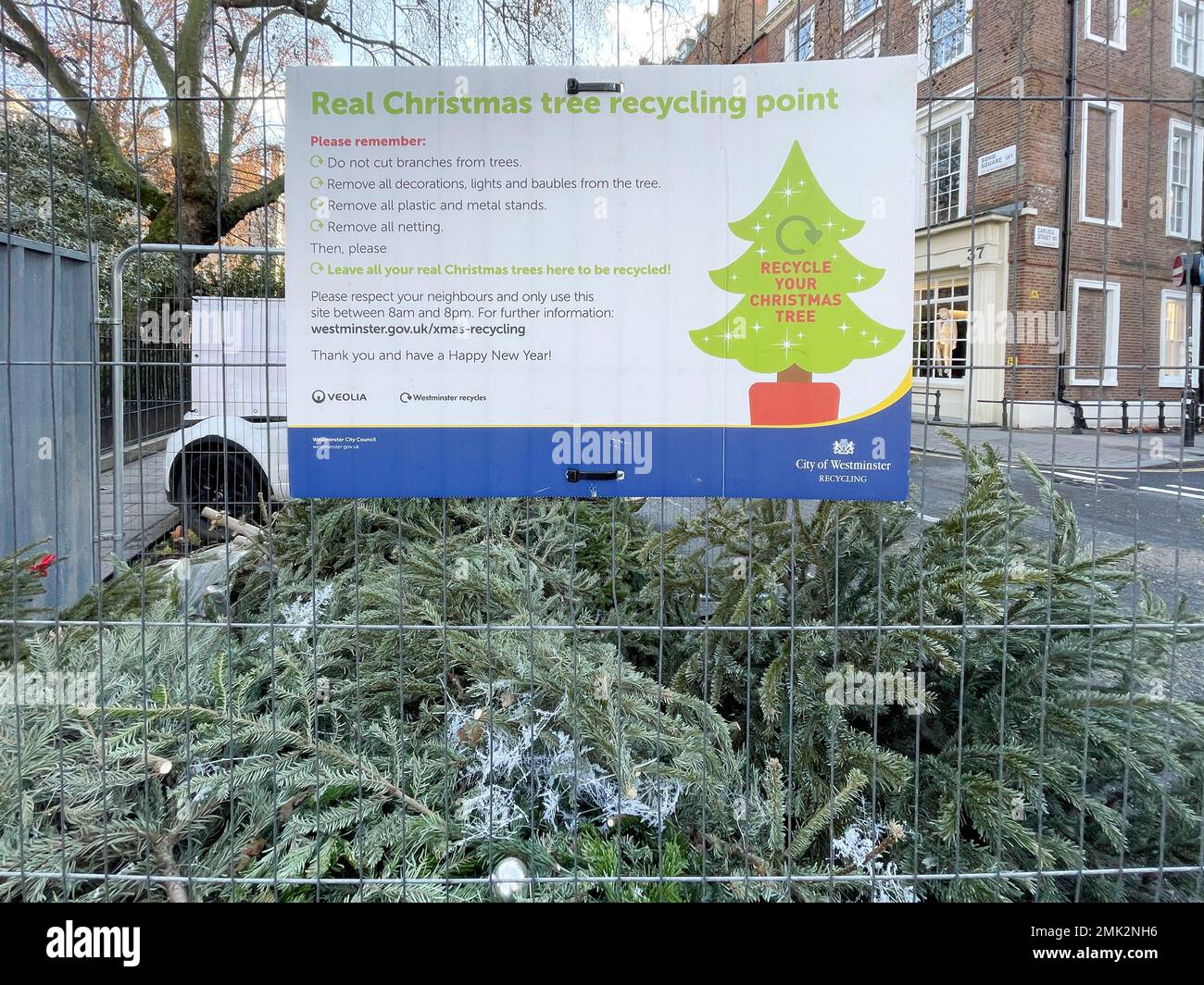 Used Christmas trees around central London is discarded on roads and at collection points.   Image shot on 2nd Jan 2022.  © Belinda Jiao   jiao.bilin@ Stock Photo