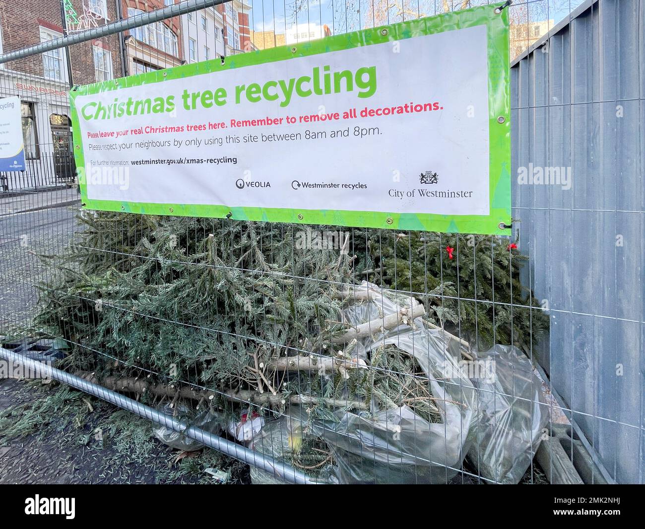 Used Christmas trees around central London is discarded on roads and at collection points.   Image shot on 2nd Jan 2022.  © Belinda Jiao   jiao.bilin@ Stock Photo
