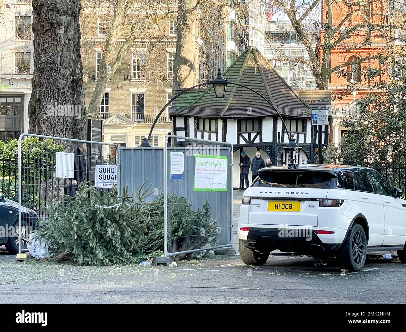Used Christmas trees around central London is discarded on roads and at