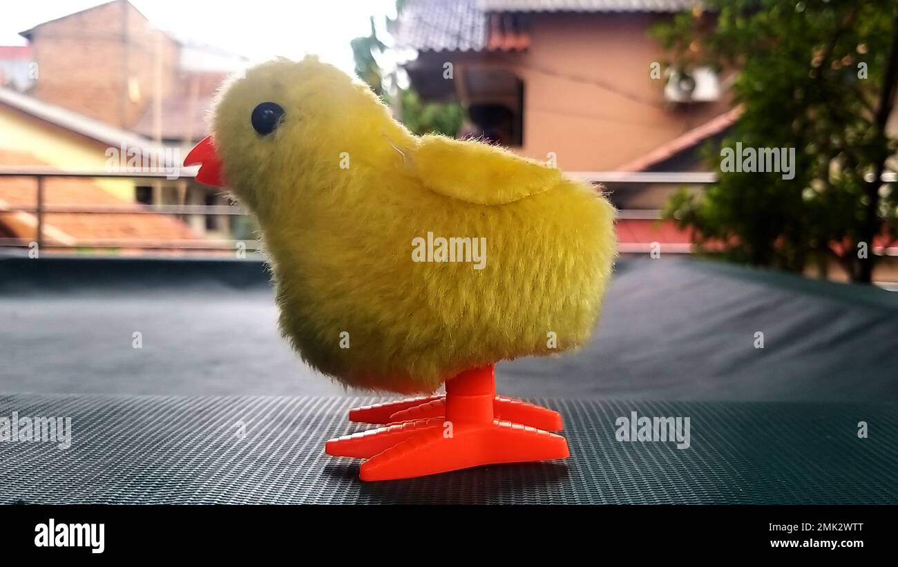 Close up photo of yellow chick shaped toy. Stock Photo