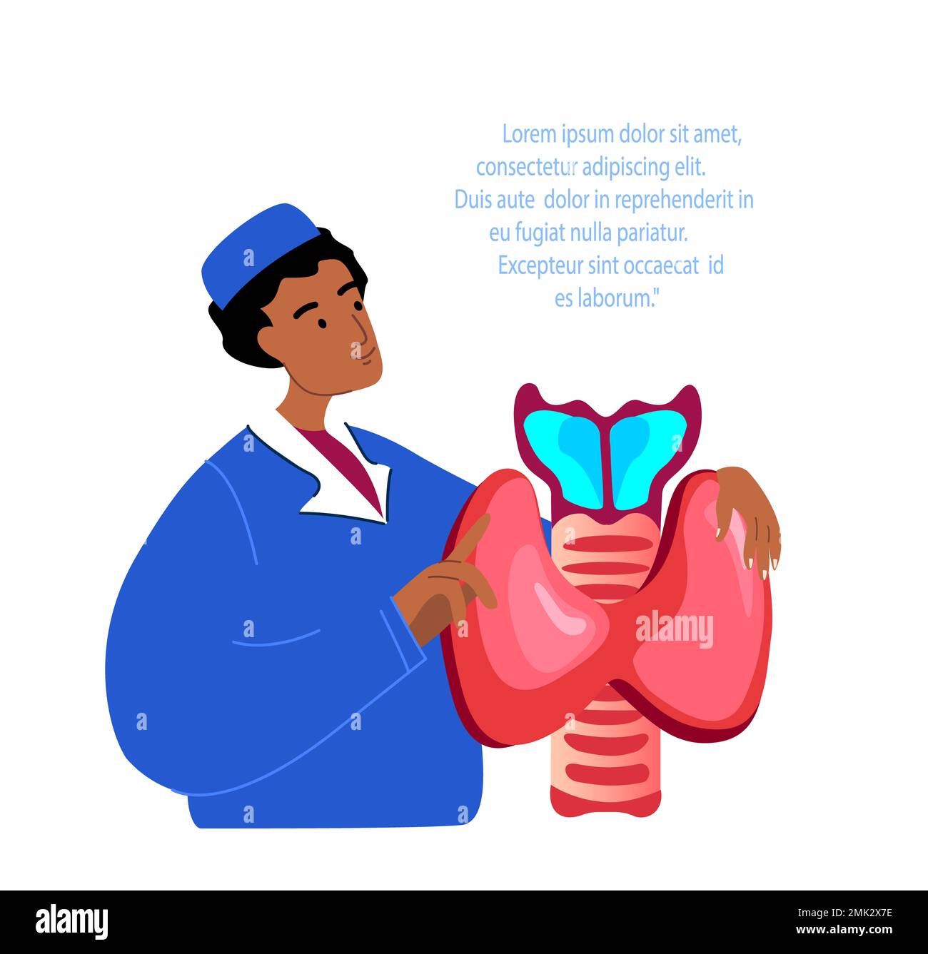 Endocrinologist Scientist Doctor Examine Thyroid,Anomalous Gland,Pineal