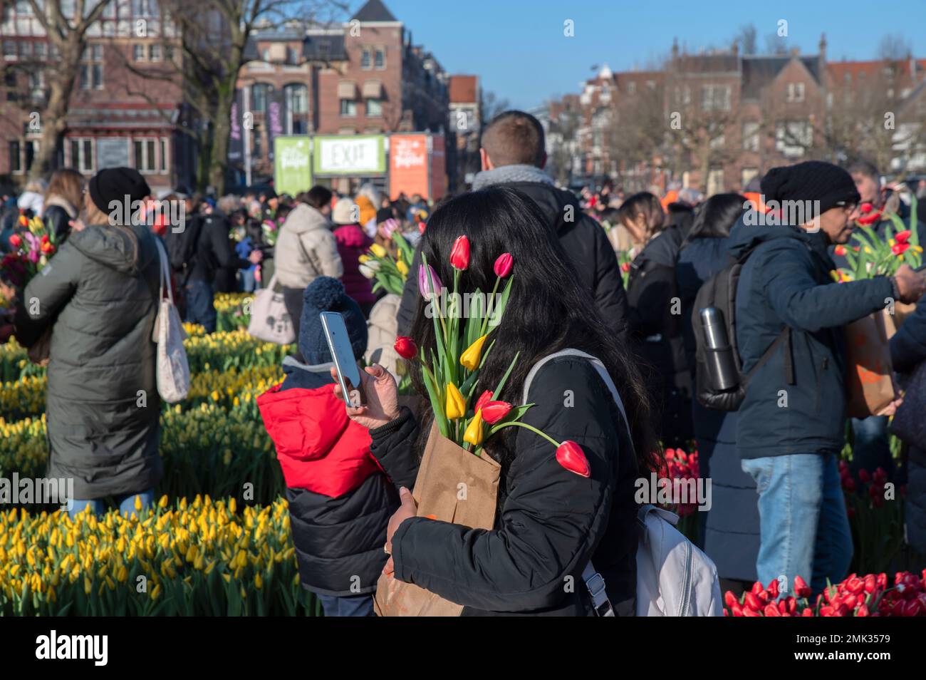 Crowd Picking Free Tulips At The National Tulip Day At Amsterdam The