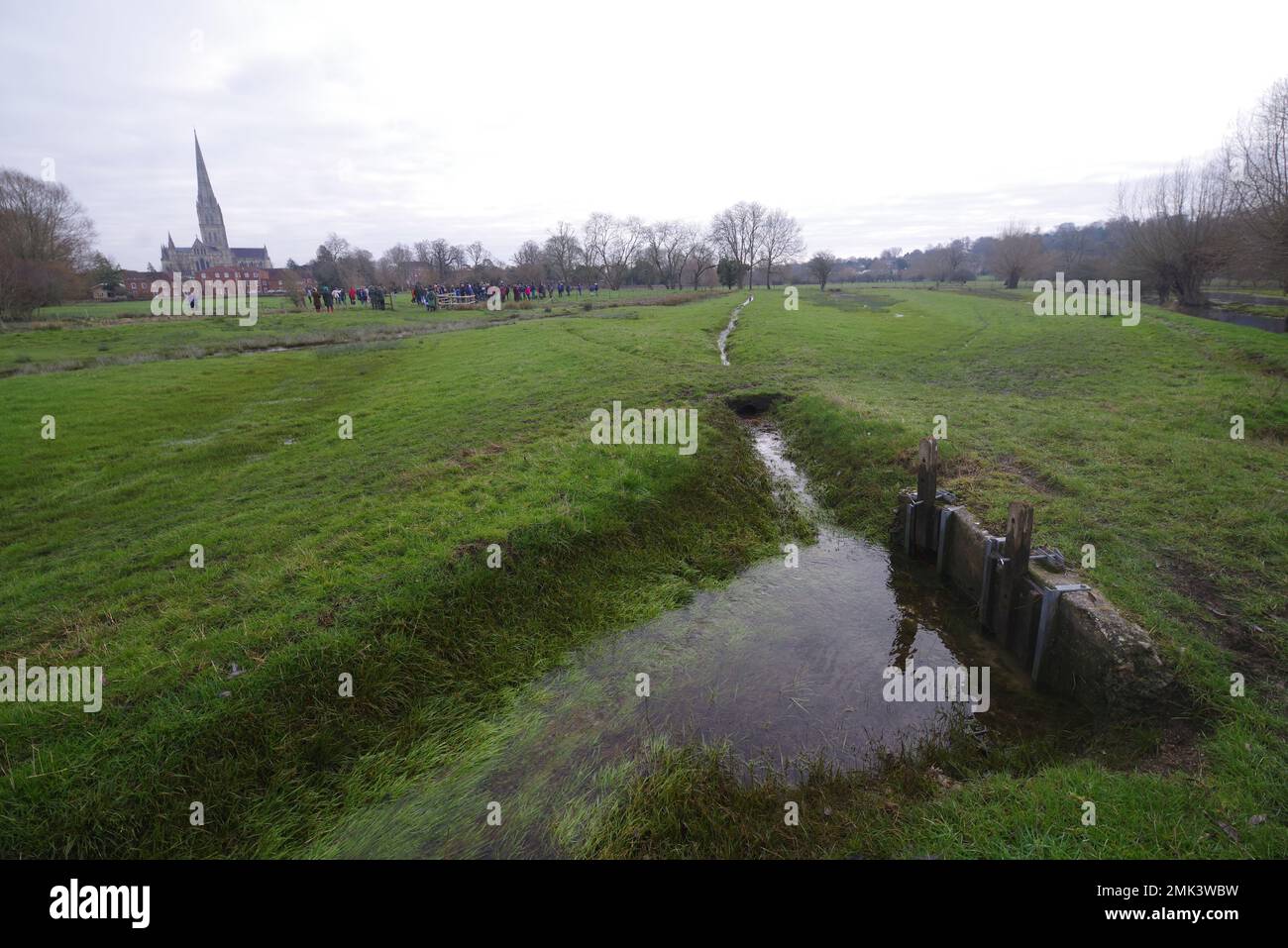 Over two hundred watch the Harnham Water Meadows drowning overlooked by
