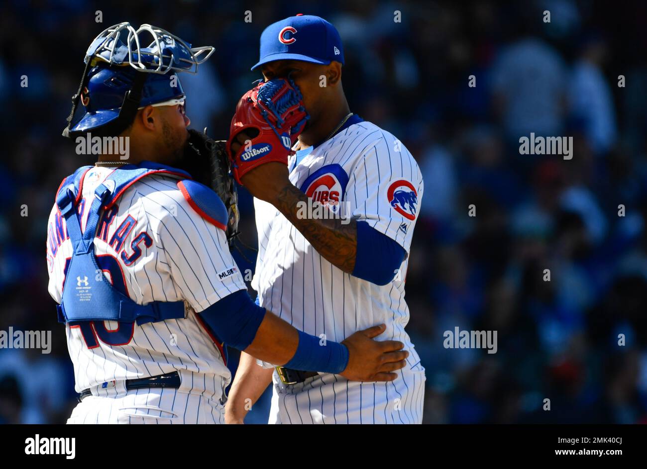 HD wallpaper: Willson Contreras, cubs, Chicago Cubs, Major League Baseball