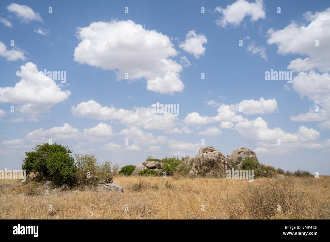 Inselbergs in the african savanna in Tanzania, on a partially cloudy day. Stock Photo