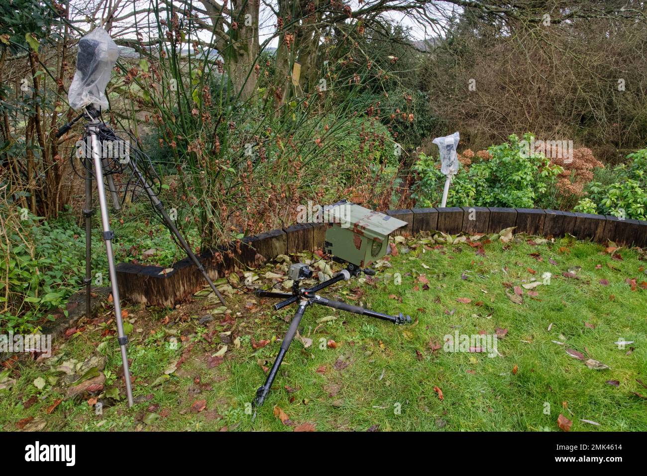 Camera trap set up to photograph garden badgers, foxes and deer