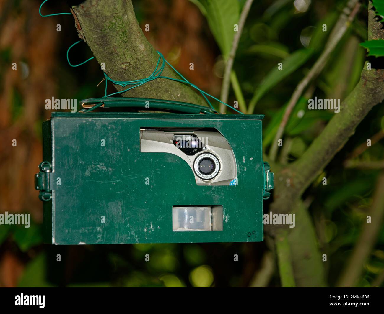 35mm film trail camera trap (circa 2003) with passive infra red sensor, used by scientists in Taiwan to monitor bears and other mountain wildlife. Stock Photo