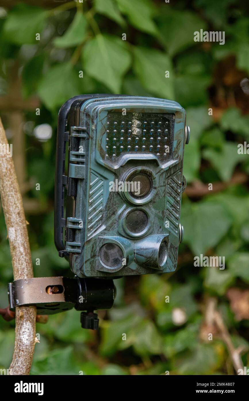 Digital trail camera trap set up to photograph garden wildlife Wiltshire, UK, January Stock