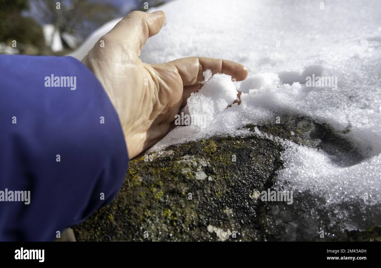 Hand in snow, playing in winter, nature and storm Stock Photo