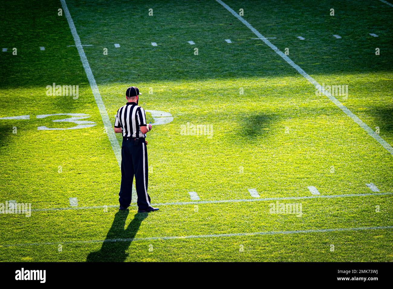 American football referee stands on the football field Stock Photo Alamy