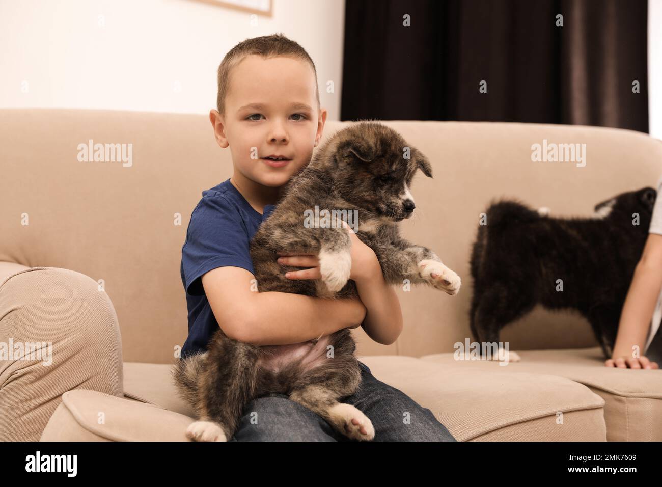 Akita dog with kids hi res stock photography and images Alamy