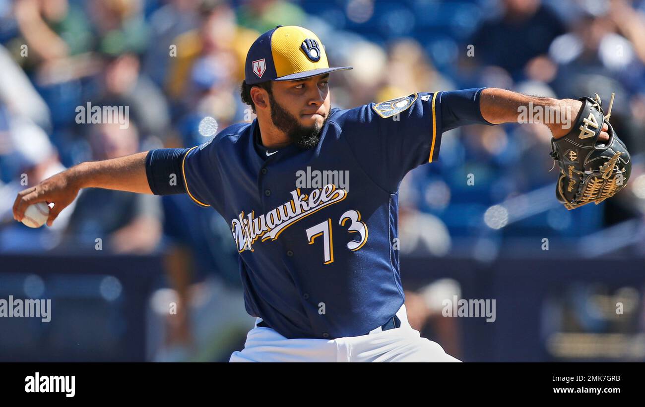 Milwaukee Brewers pitcher Marcos Diplan (73) pitches during a spring ...