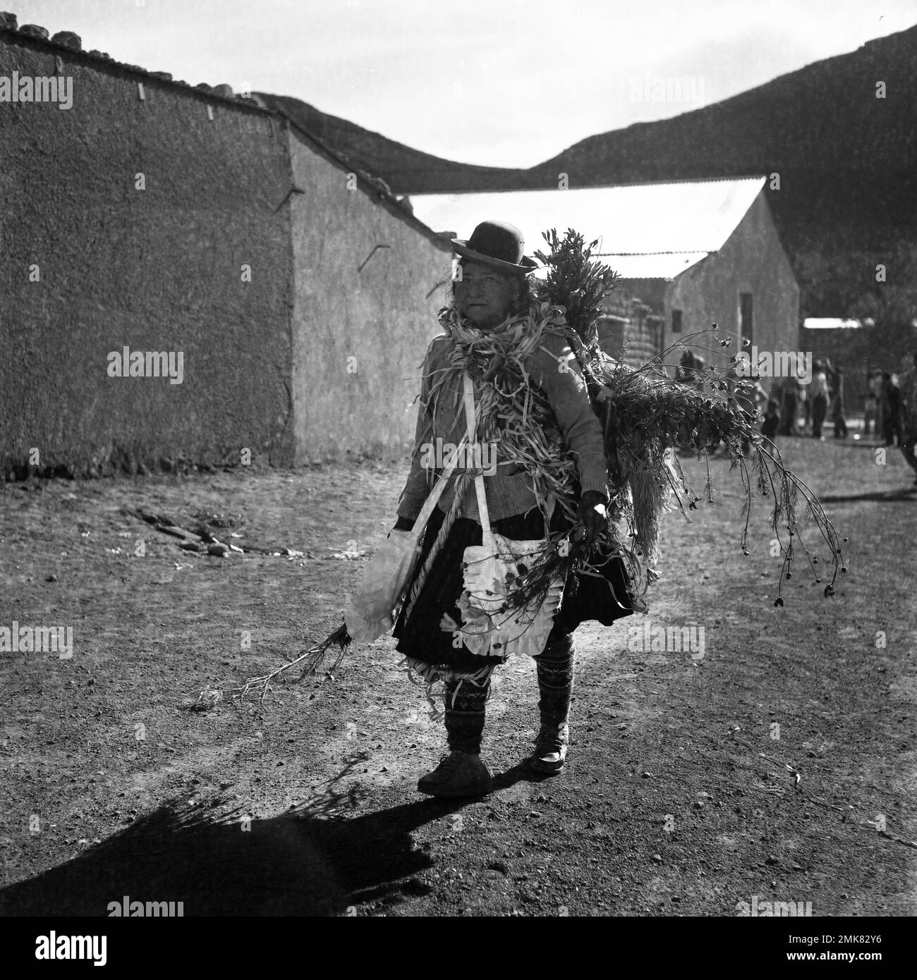 Atacama Plateau Desert Carnival Tradition Costume Latin America America animated Bolivian Bolivia custom crowded diverse carnival celebration Stock Photo