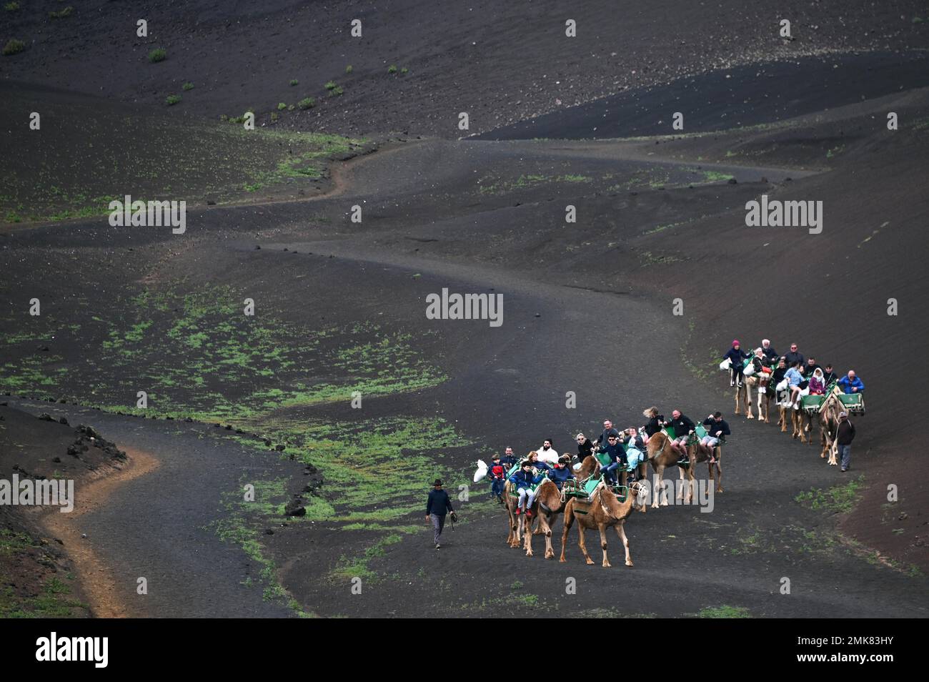 Camel herd with tourists in Timanfaya National Park, Lanzarote, Spain ...