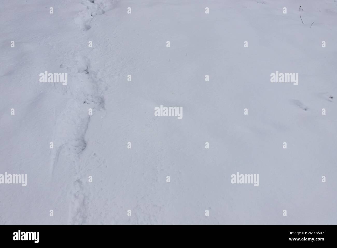Top view of the footprint of shoes boots on fresh snow. The winter season. Stock Photo