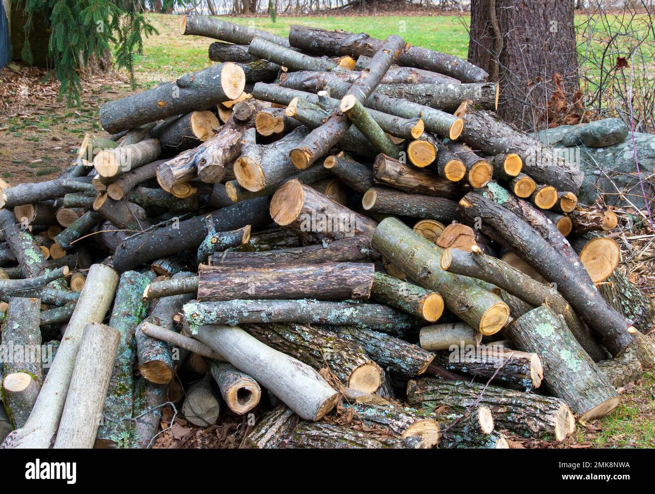 A stack of various length hardwood logs for firewood Stock Photo