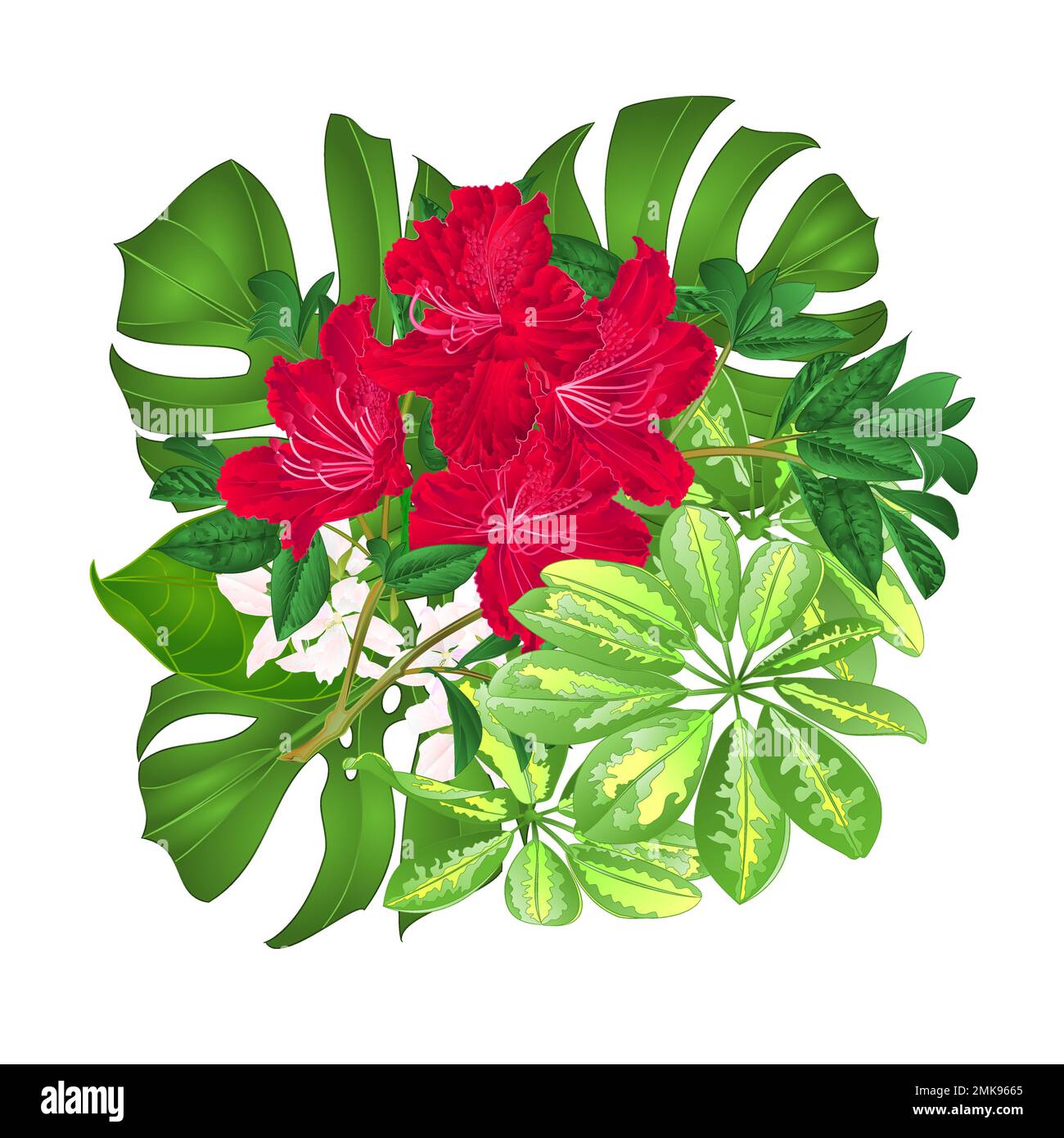 Bouquet with tropical flowers floral arrangement, with beautiful red ...