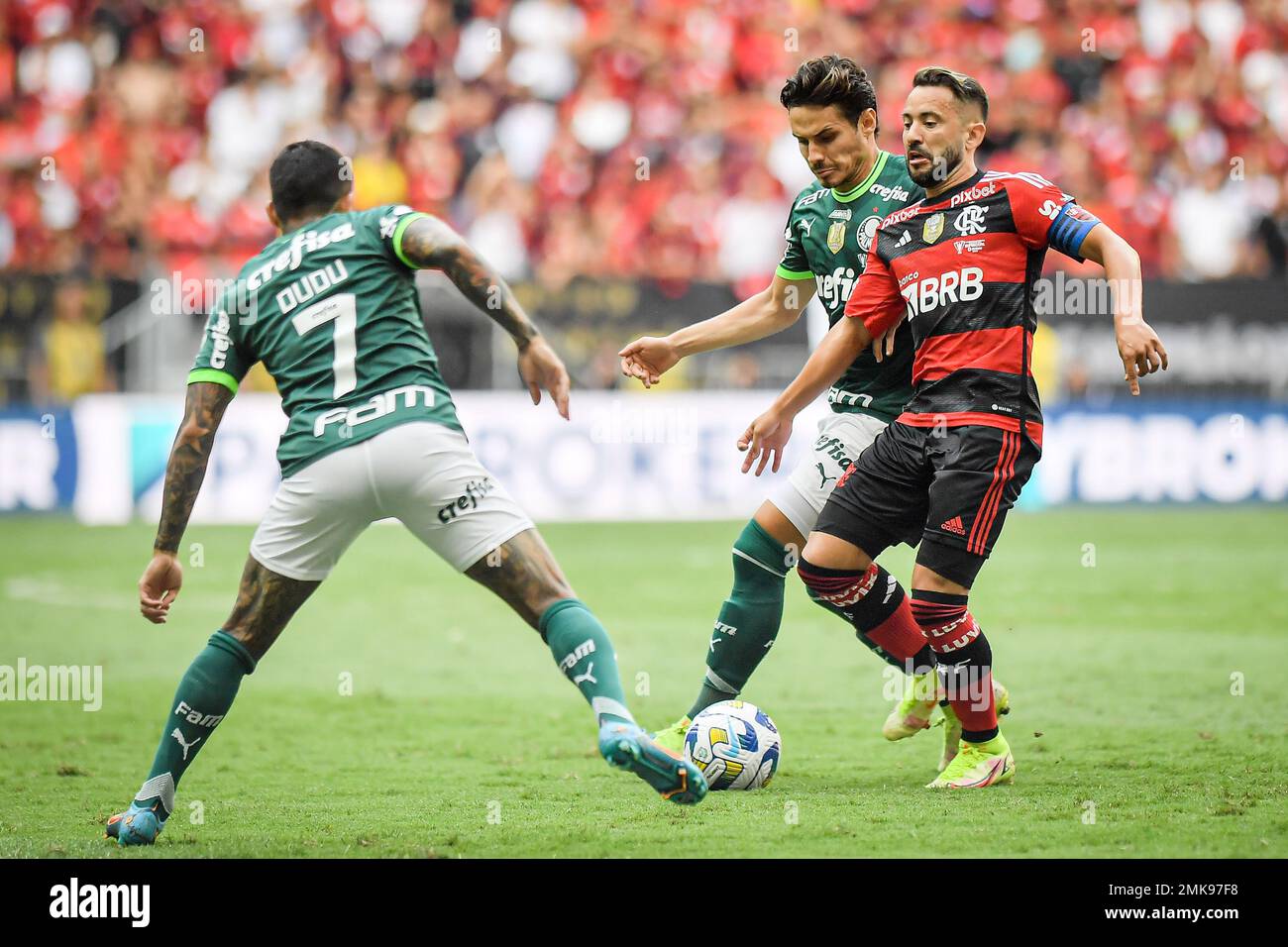 BRASÍLIA, DF - 28.01.2023: PALMEIRAS X FLAMENGO FINAL SUPERCOPA ...