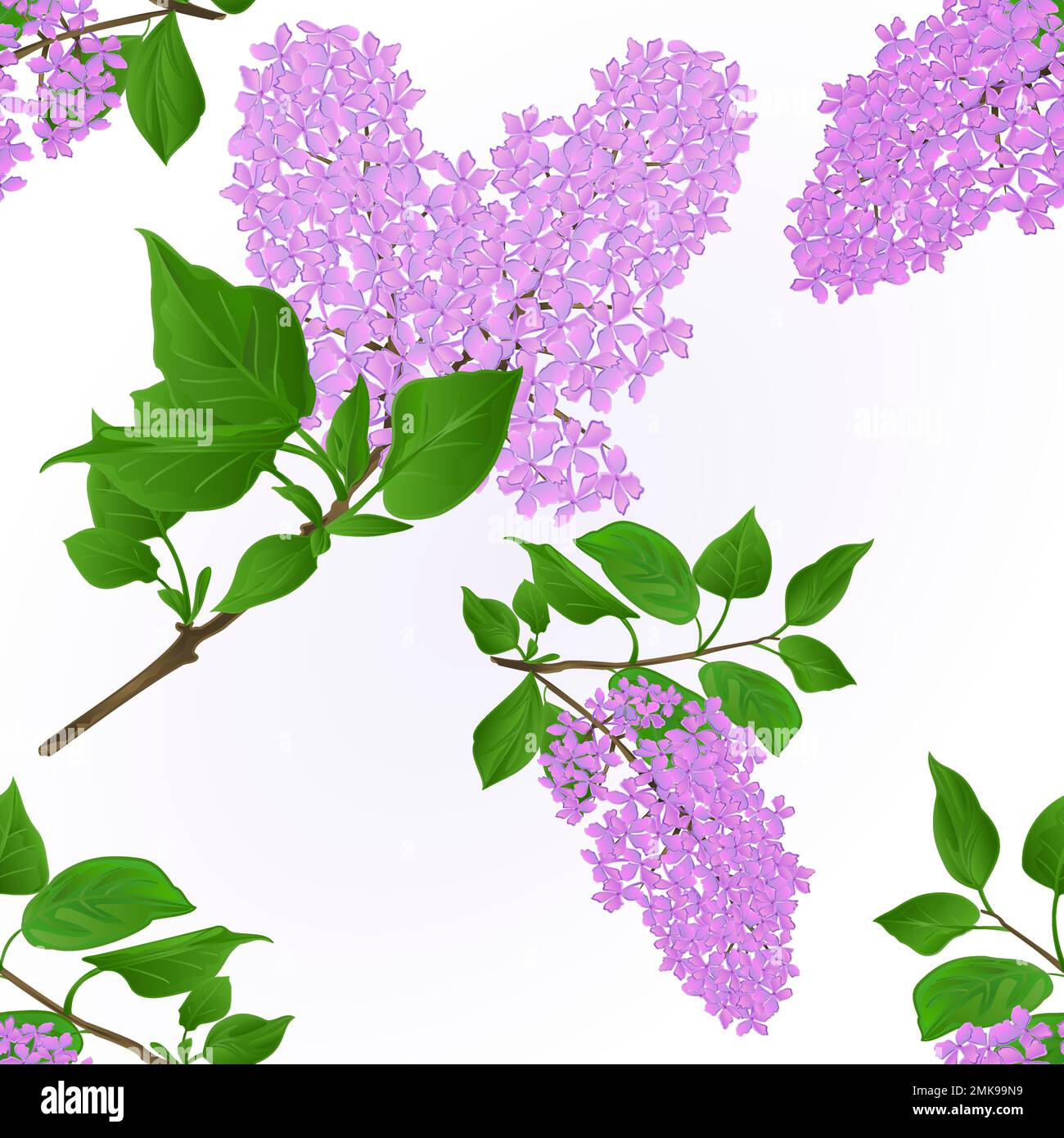 Lilacs Stock Vector Images - Alamy