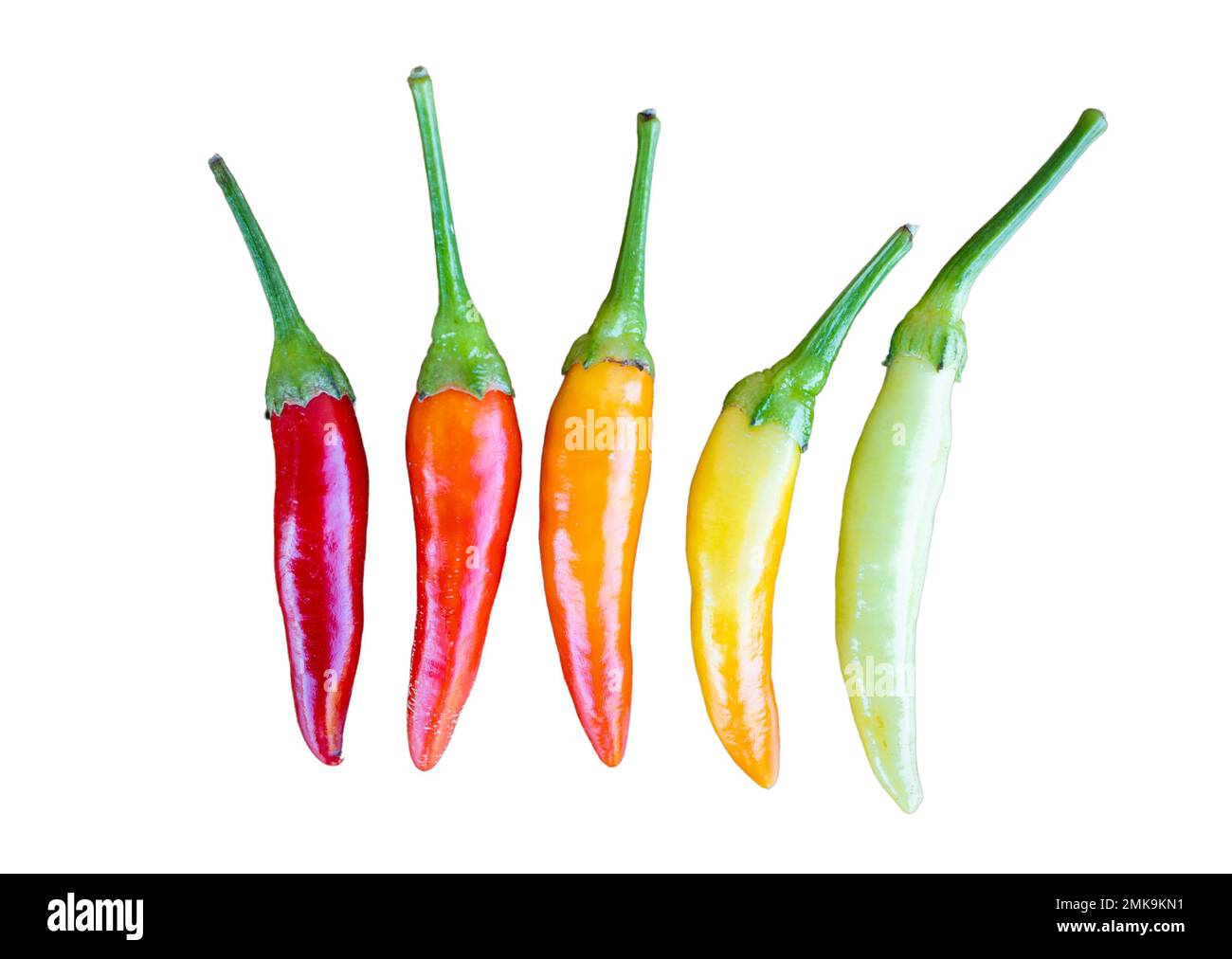 Red and yellow chili cayenne peppers isolated on white Stock Photo