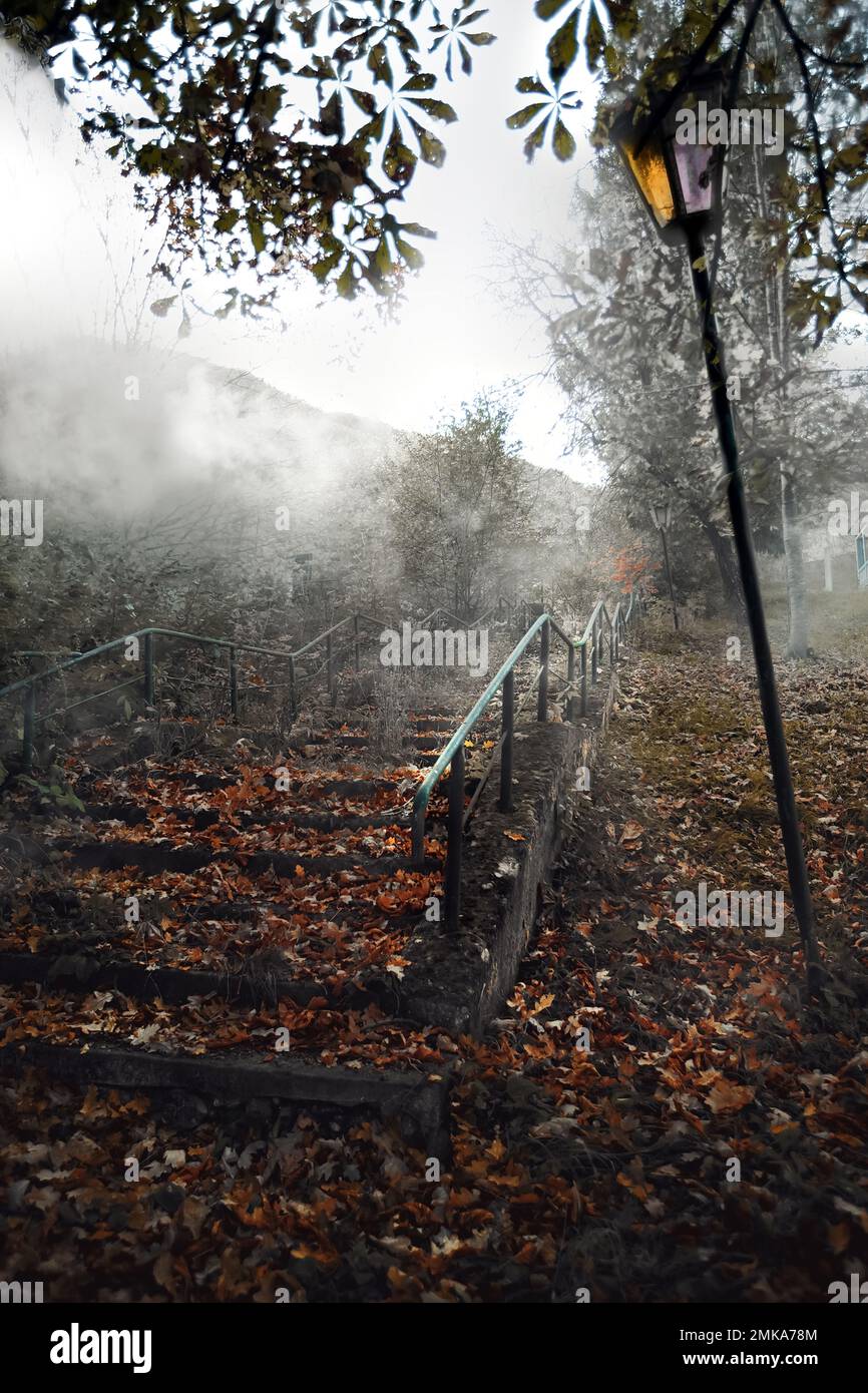 Lost place. Abandoned resort. Leaves on the stairs, a lamppost in the mist. Forgotten in the forest. High quality photo Stock Photo