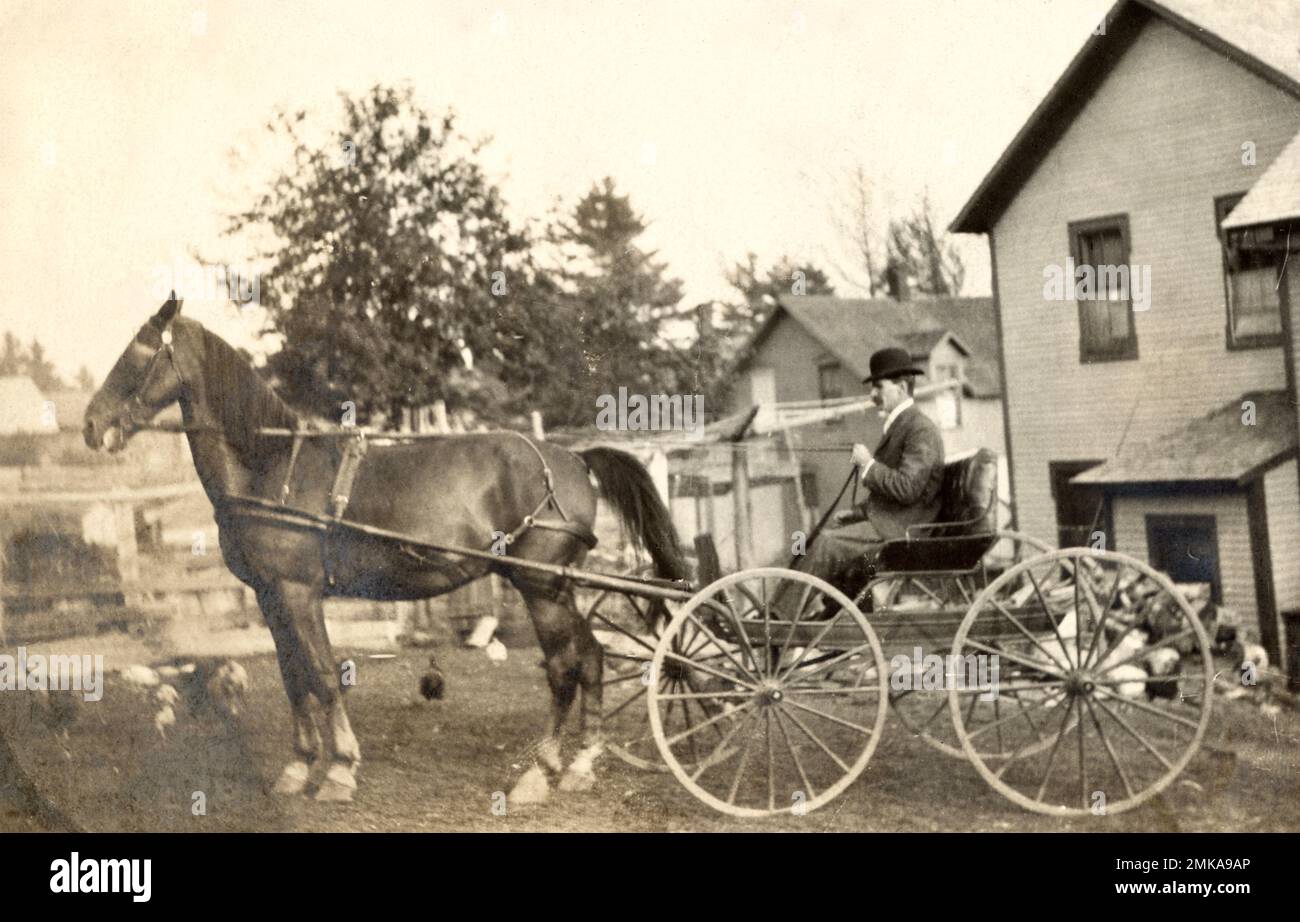 Horse and buggy, Horse and Carriage, Man driving horse drawn buggy