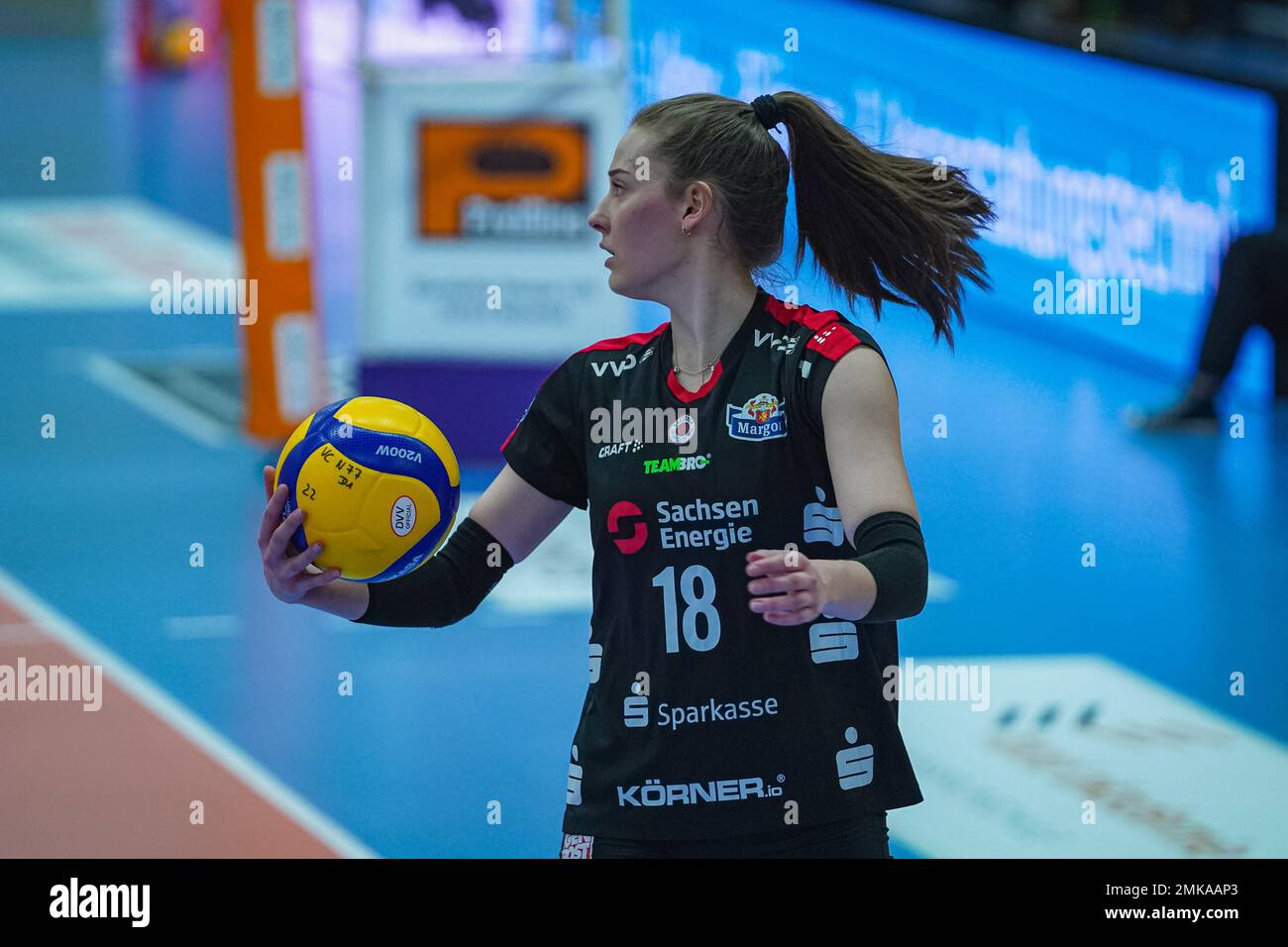 Volleyball bundesliga hi-res stock photography and images - Page 3 - Alamy