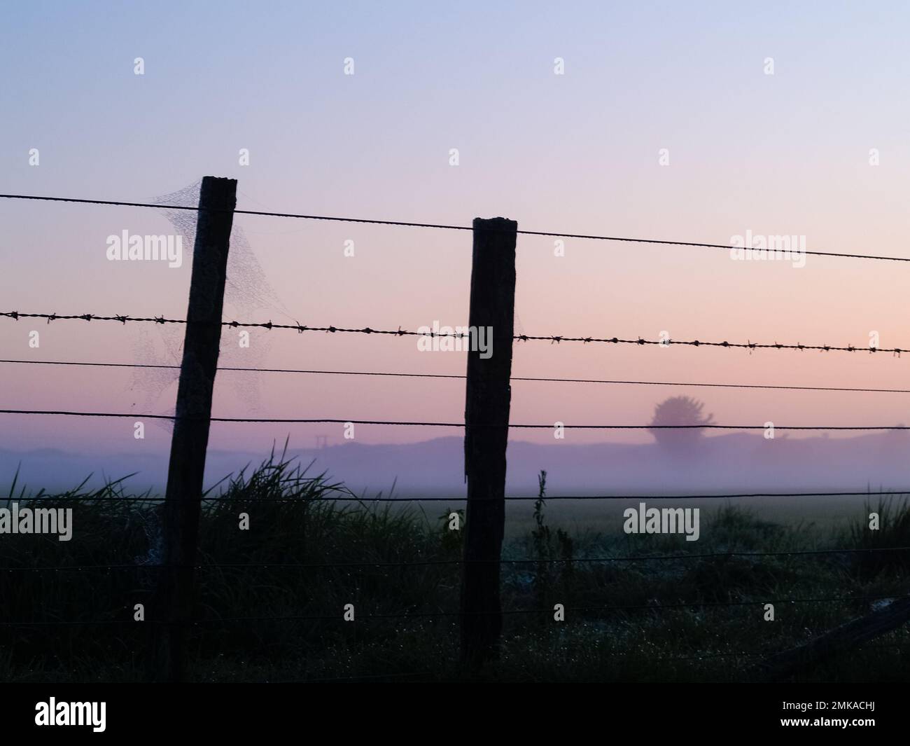 Misty morning across rural land in Wairarapa district, New Zealand