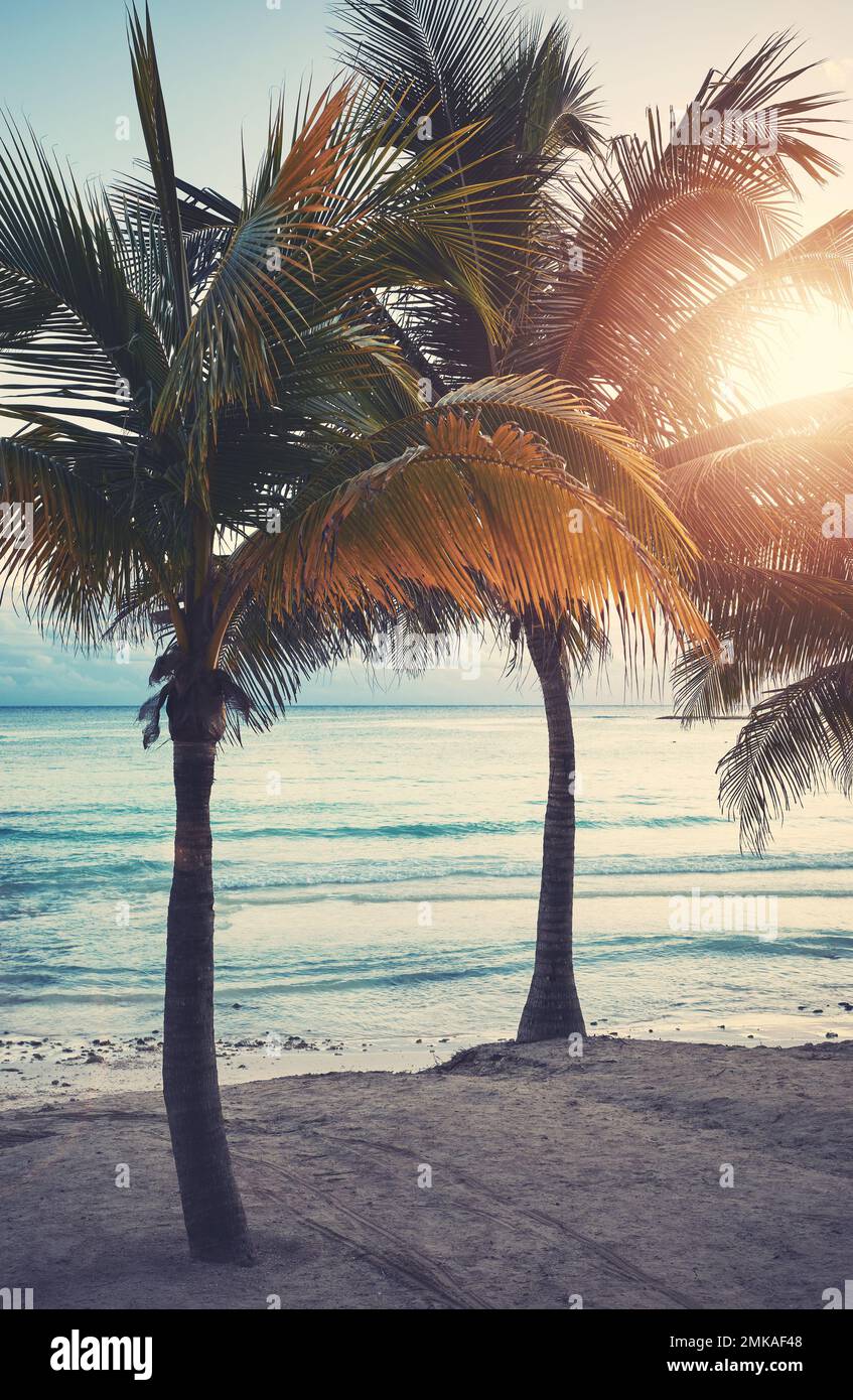 Beautiful sunset tropical beach hi-res stock photography and images - Alamy