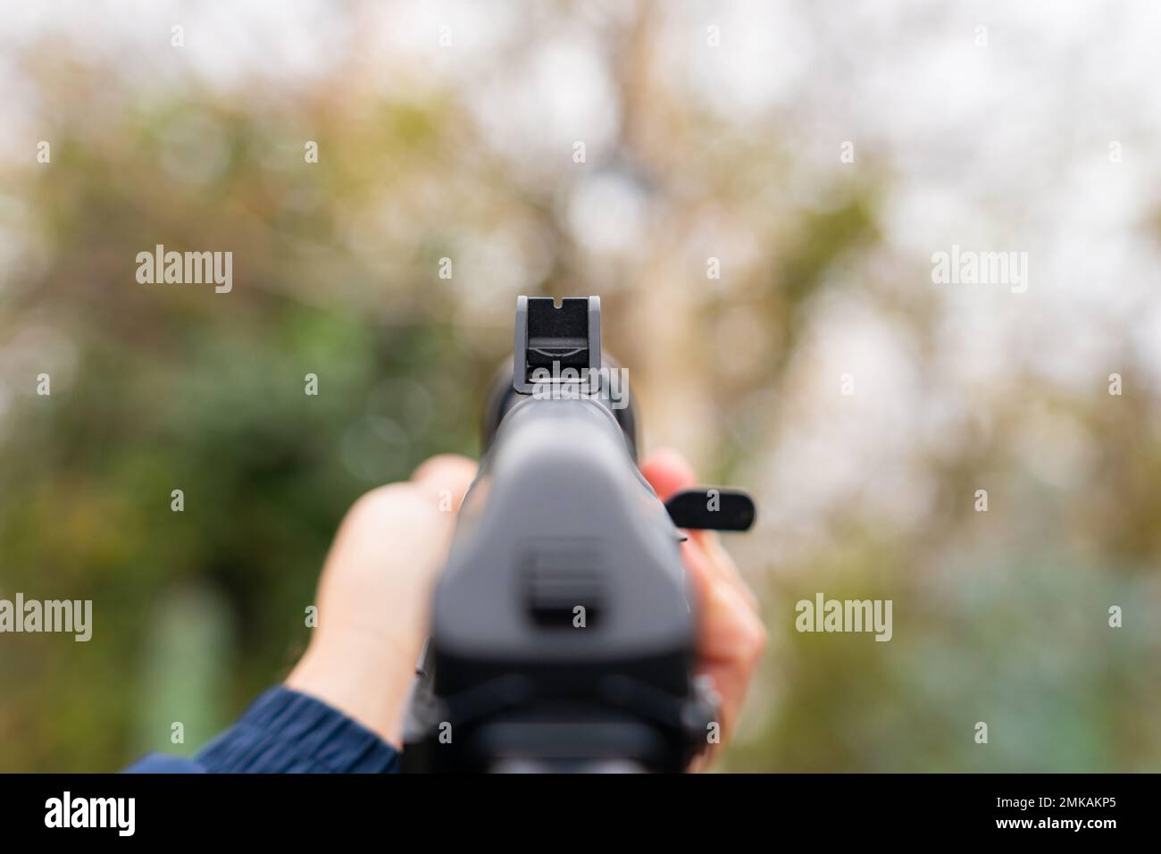 Assault rifle sight from the first person on the background of the forest Stock Photo