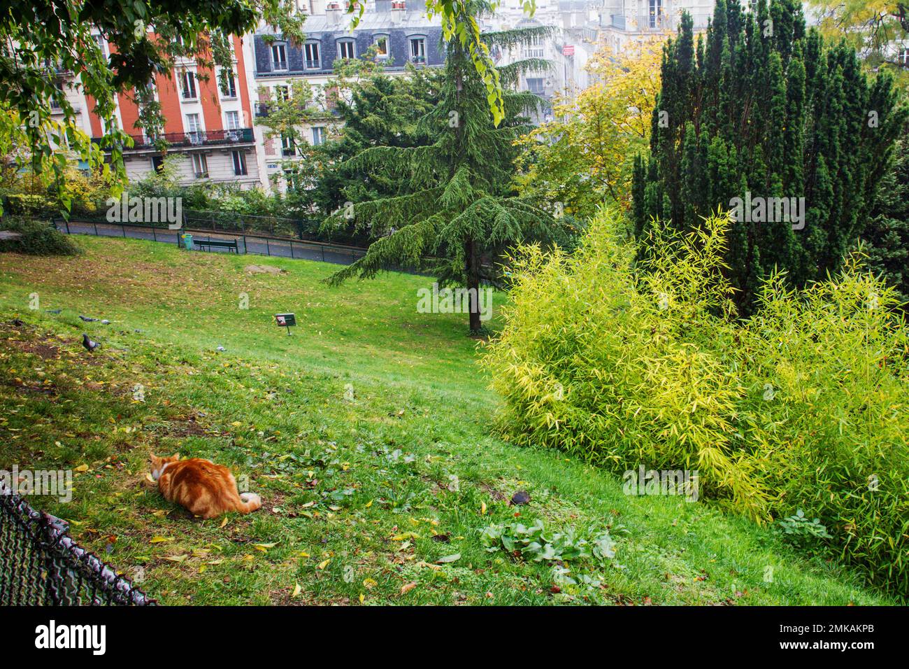 A public park called Place Louise Michel next to the Sacré-Coeur ...